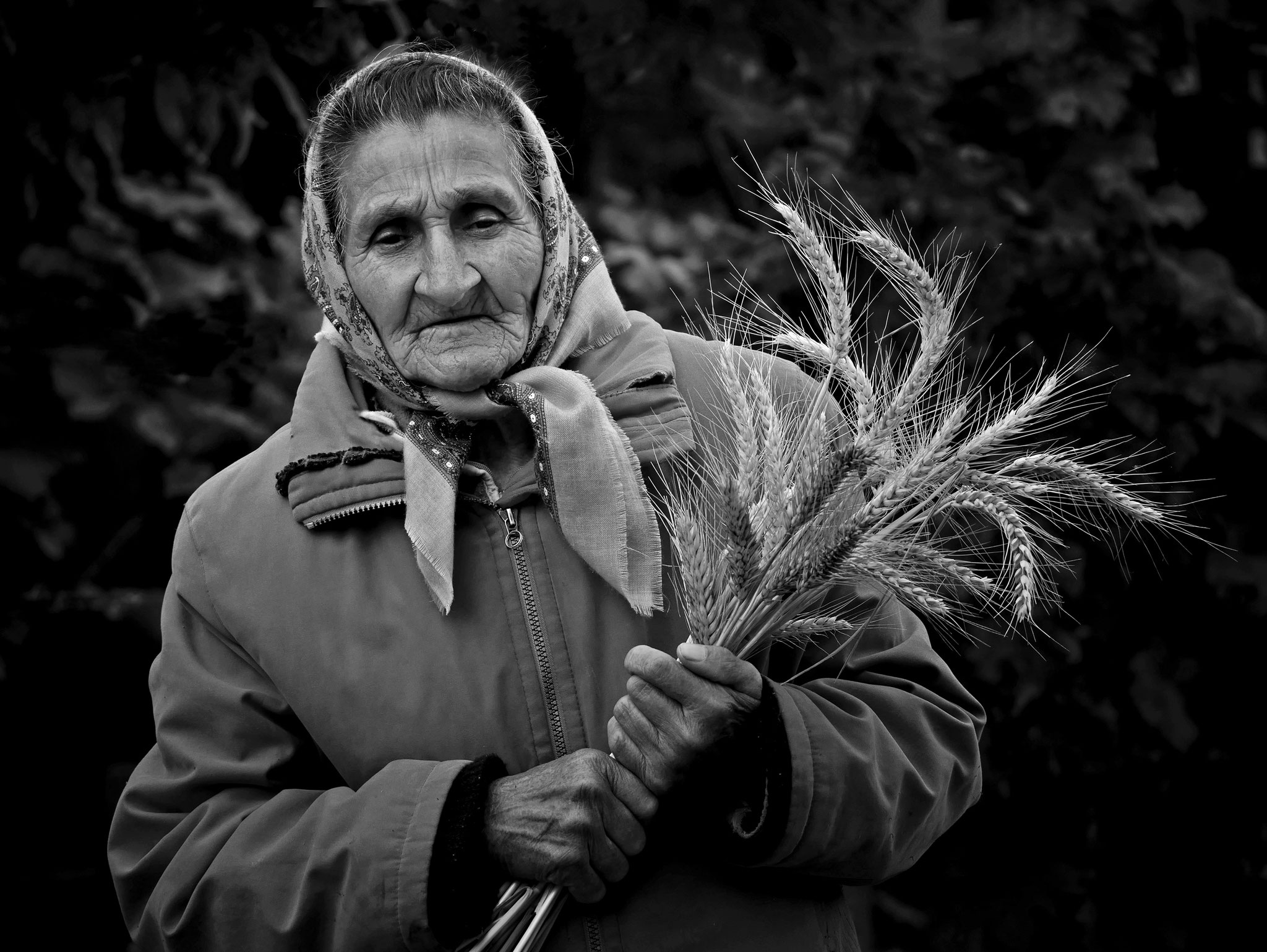 Kenéz Éva (HU) – Buchet de grâu_Egy csokor búza