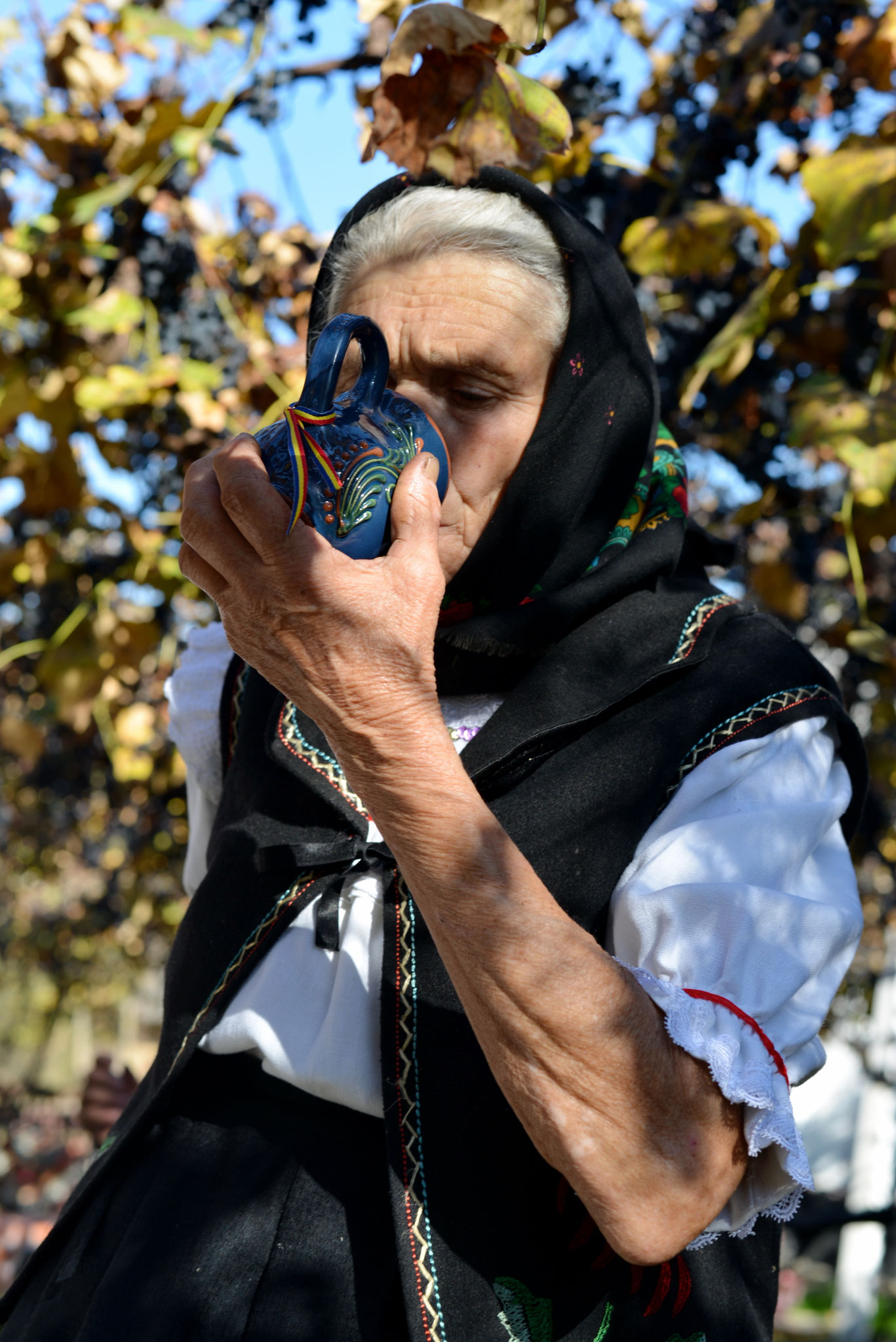 Gheorghe Petrila EFIAP (RO)