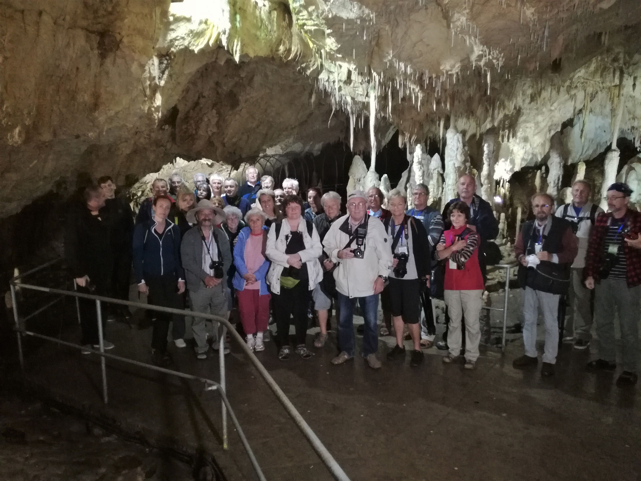 In the Bear Cave