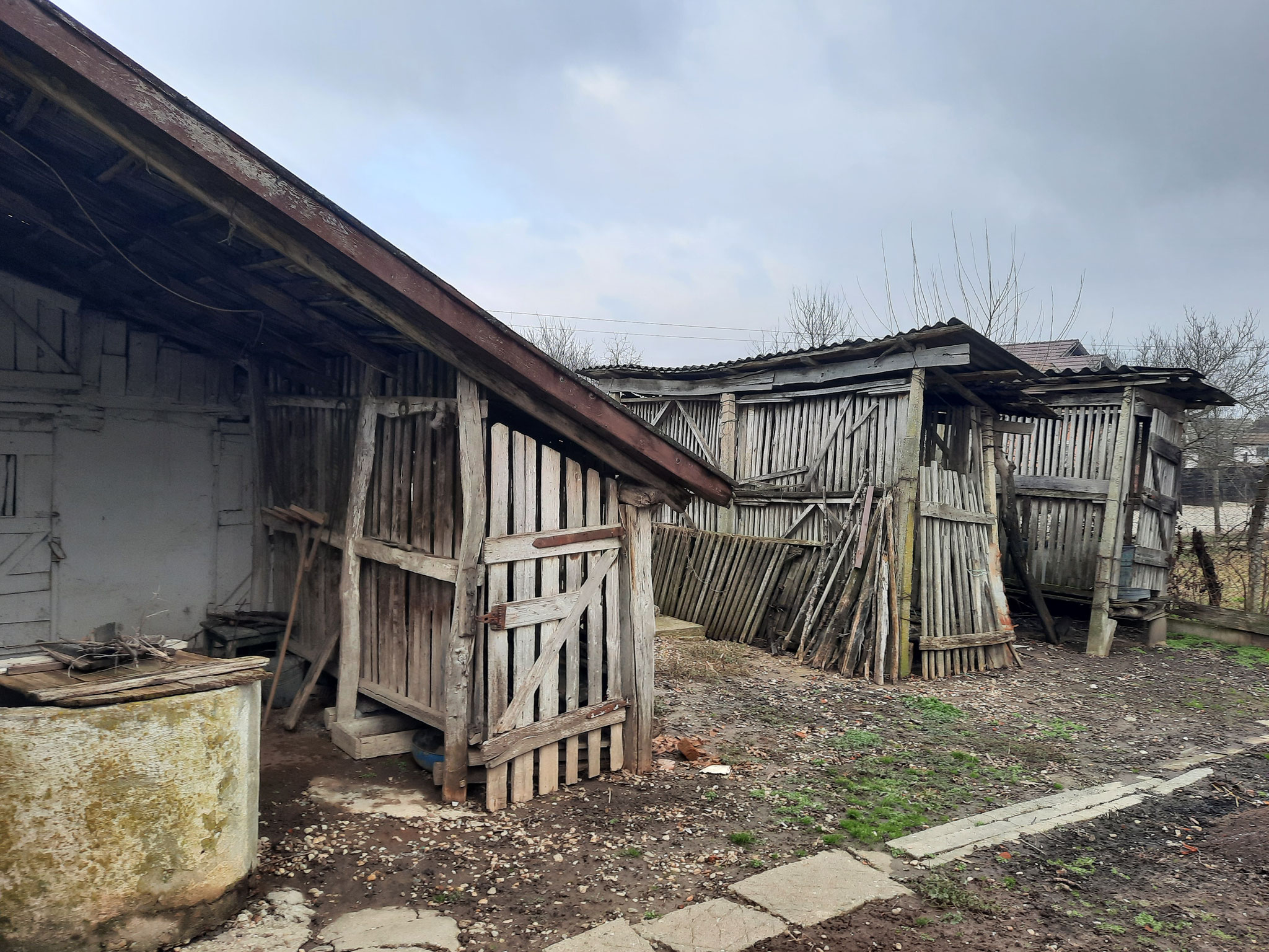Foto: Körösi Mátyás Zoltán (Sălard/ Szalárd)