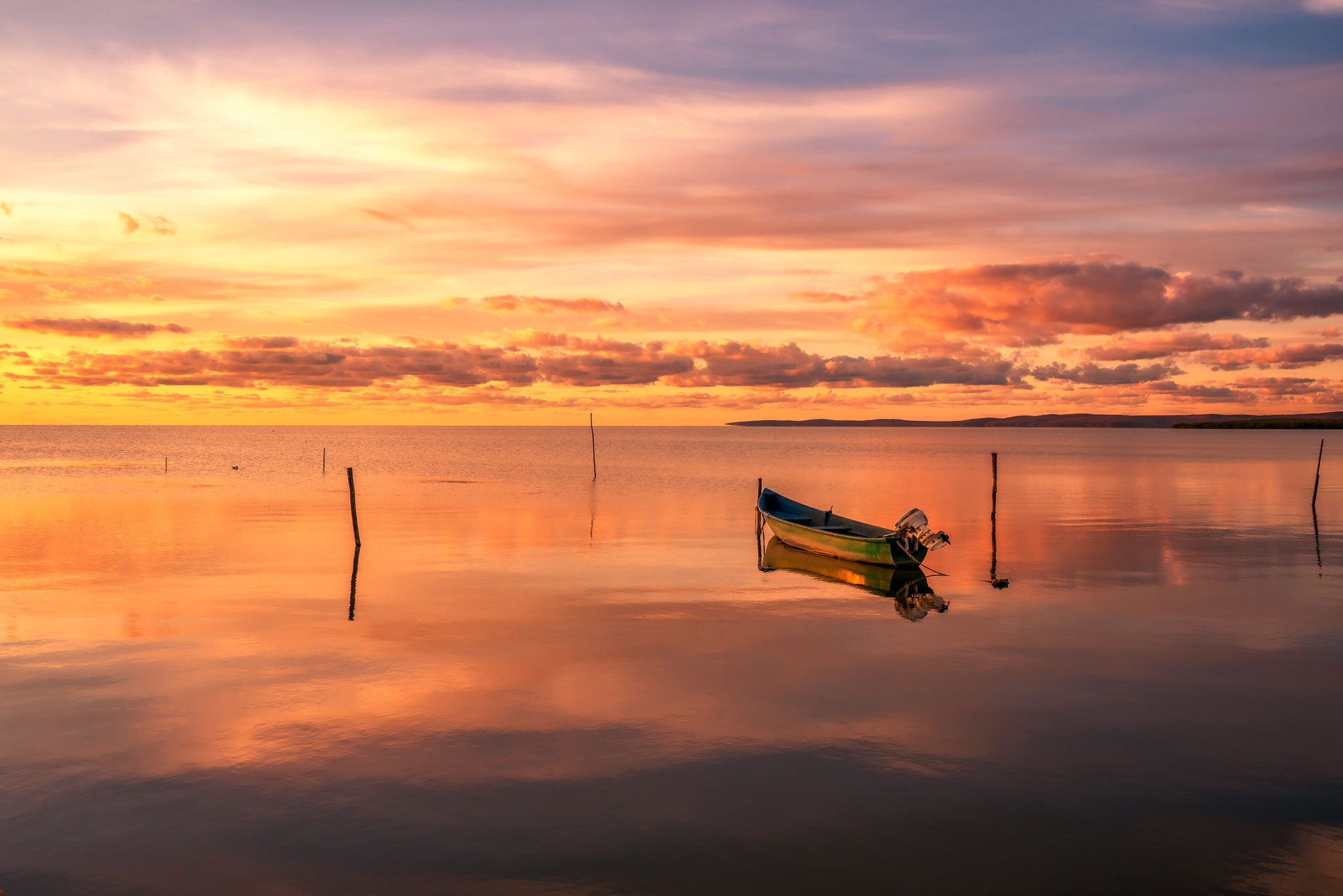 Cătălin Vezetiu (RO) -Delta Dunării - The Danube Delta - ドナウデルタ