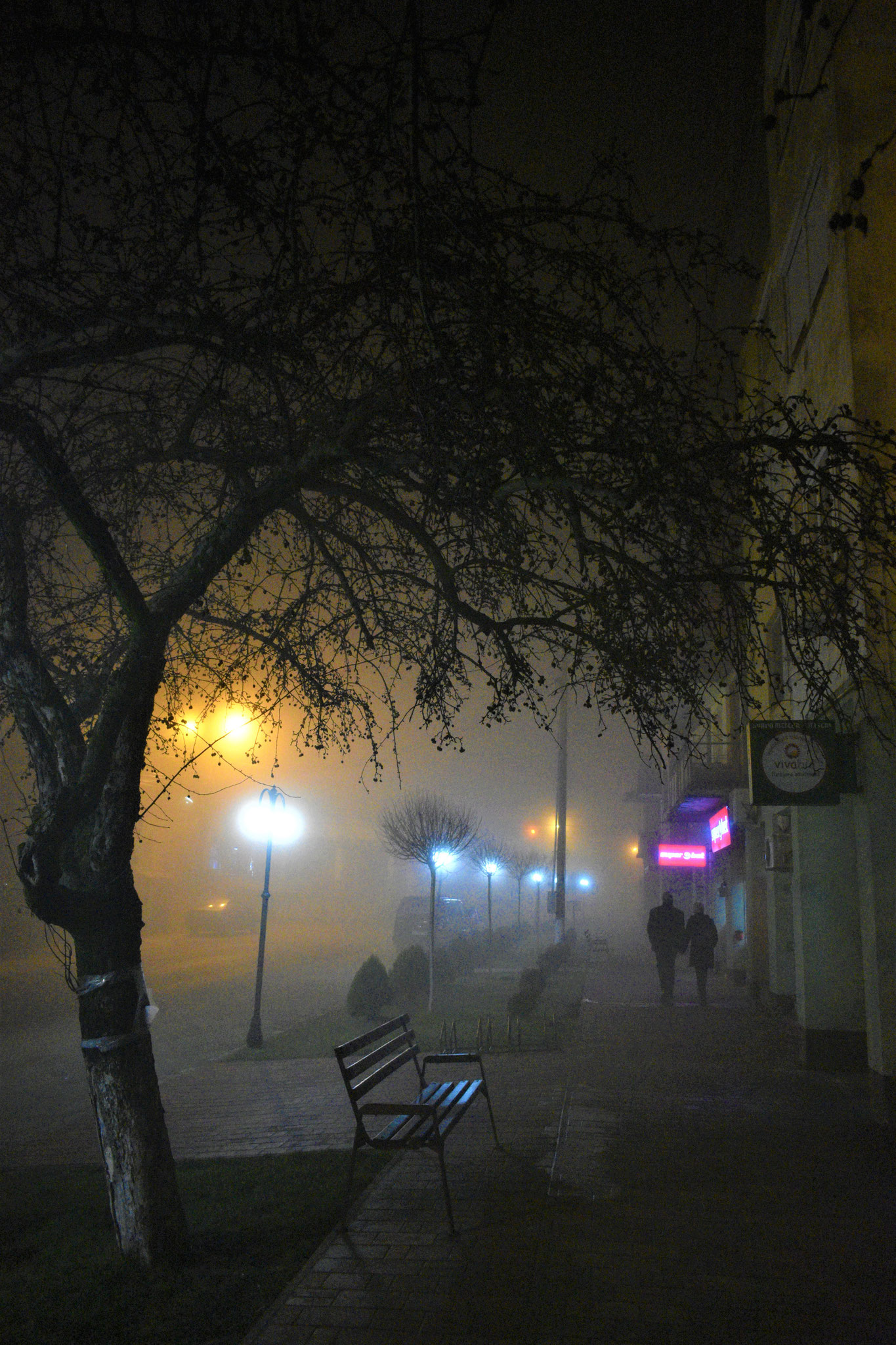 Foto: Szilágyi Éva-Andrea (Valea lui Mihai/ Érmihályfalva)