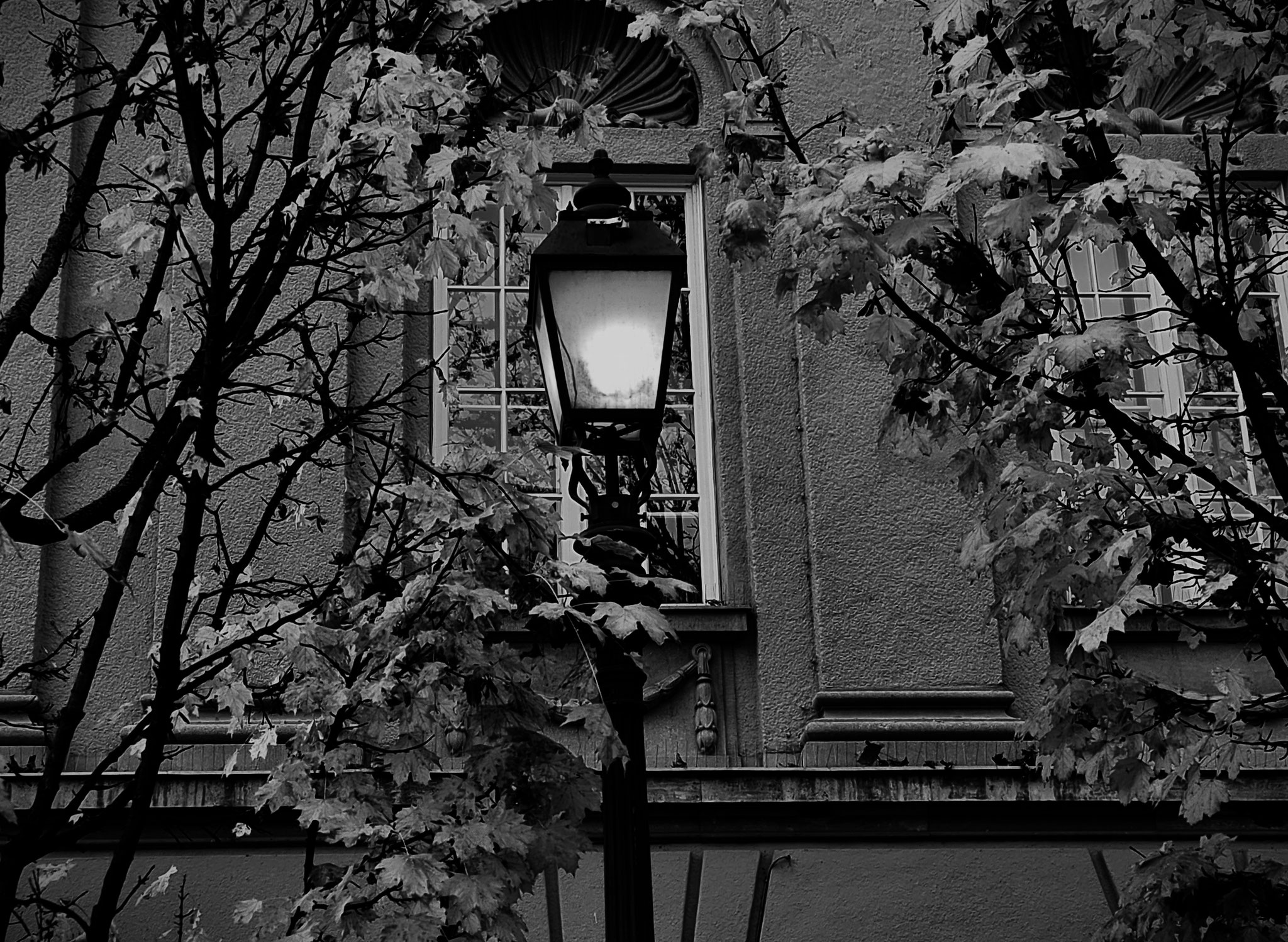 Debrecen (HU)