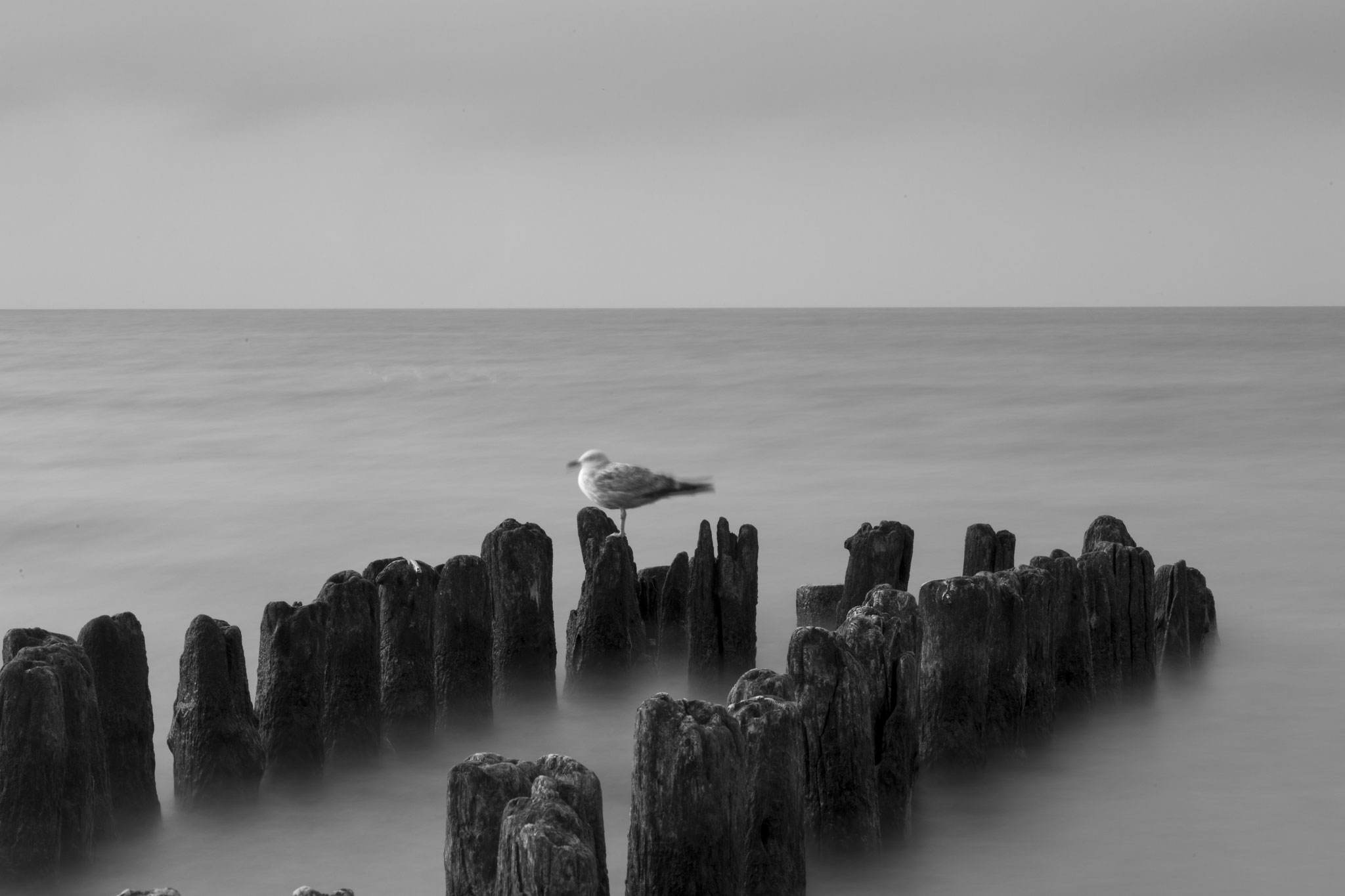 Szabó Béla EFIAP (HU) - The Baltic sea 3