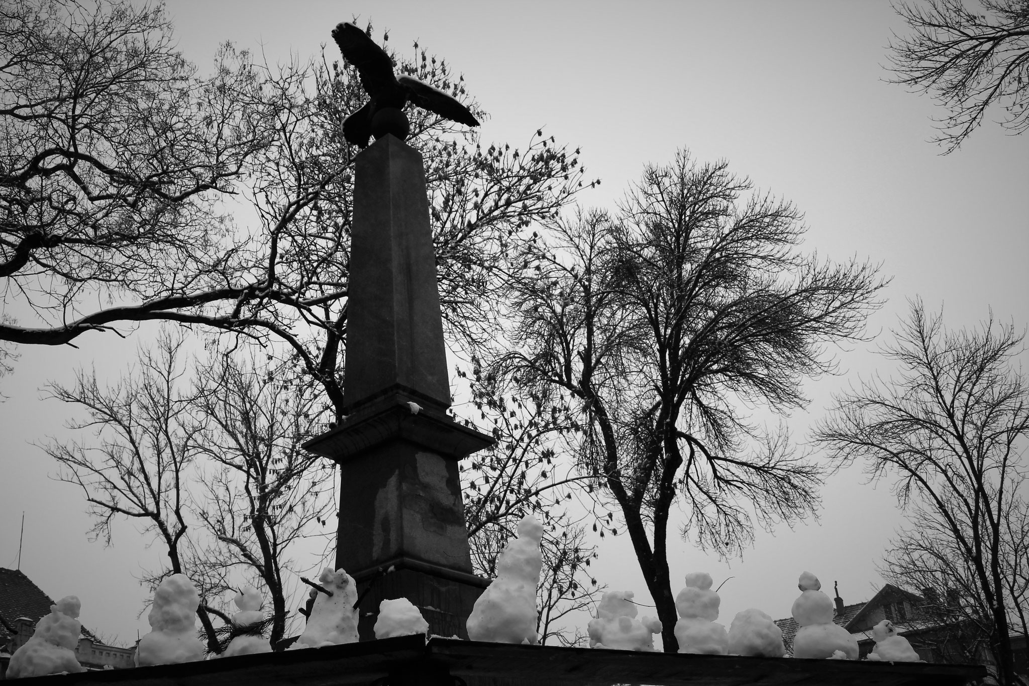 Foto: Cservid Levente-Imre (Săcuieni/ Székelyhíd)