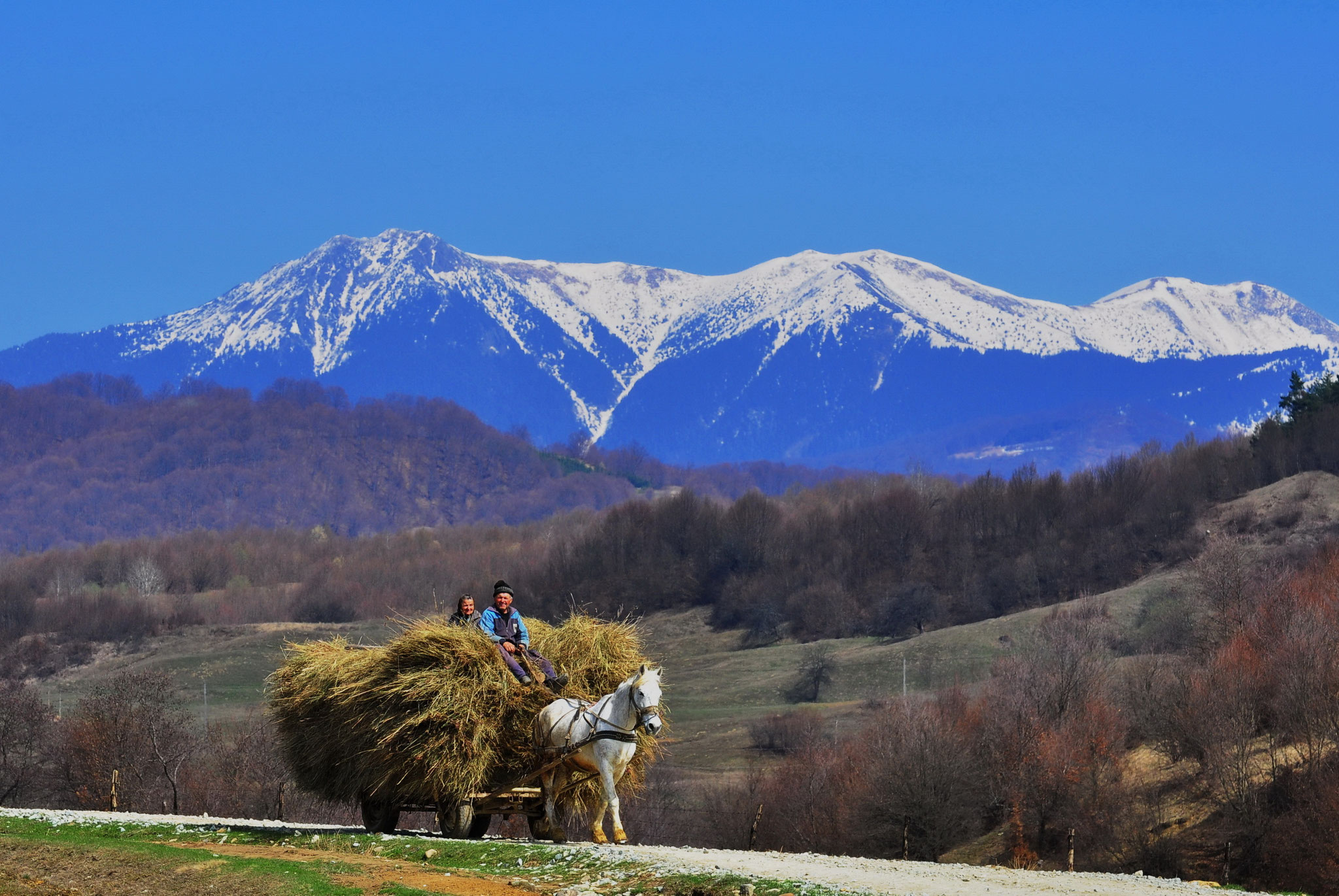 Gheorghe Petrilla  EFIAP  (RO) - Preparations for winter