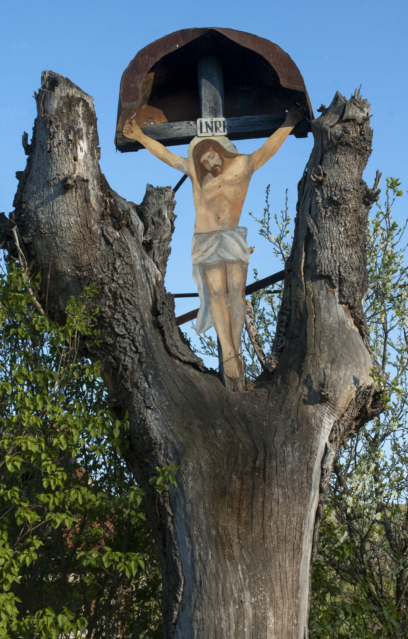 Vas Géza (RO)