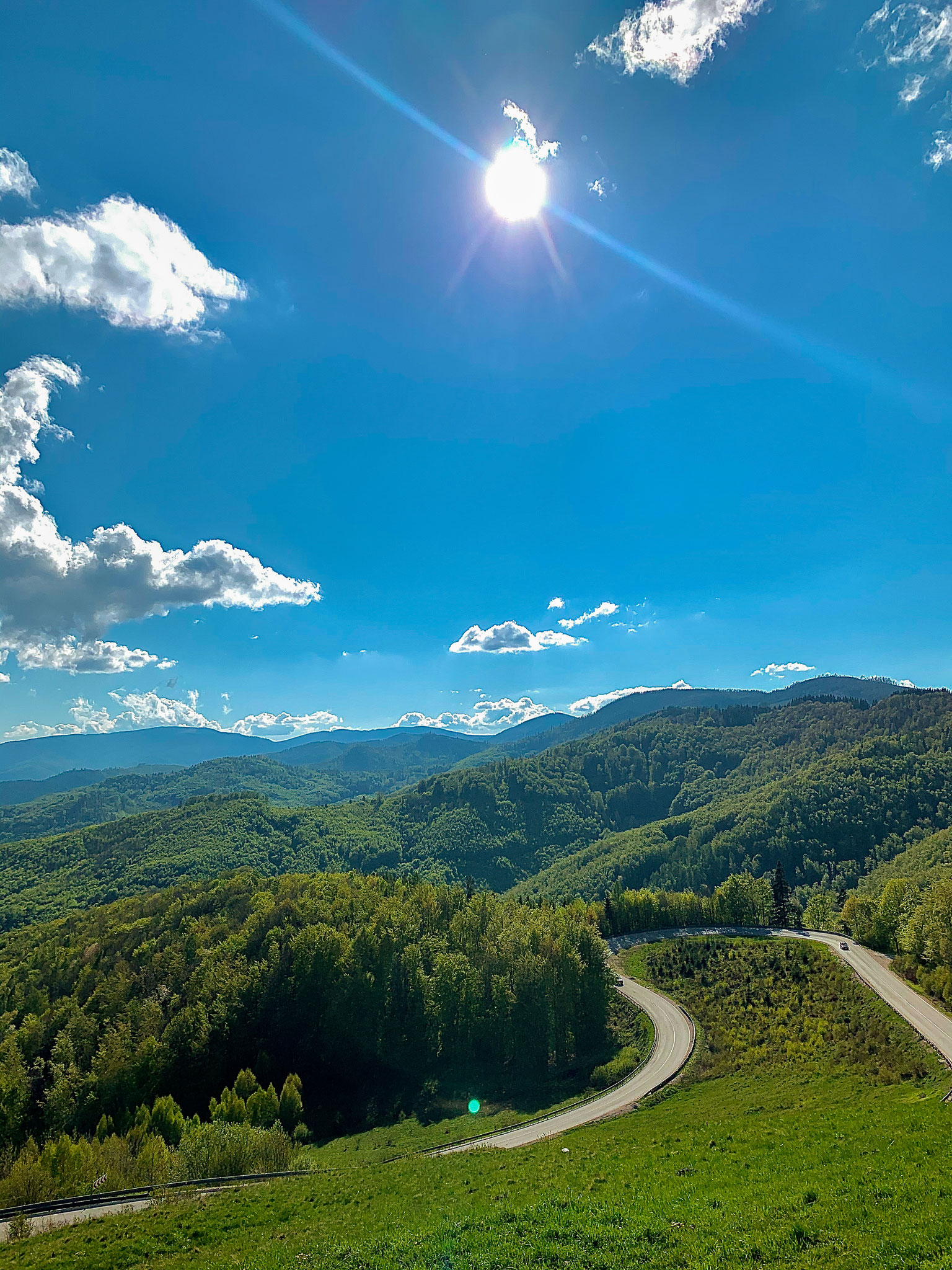 Molnár Réka (SRB)
