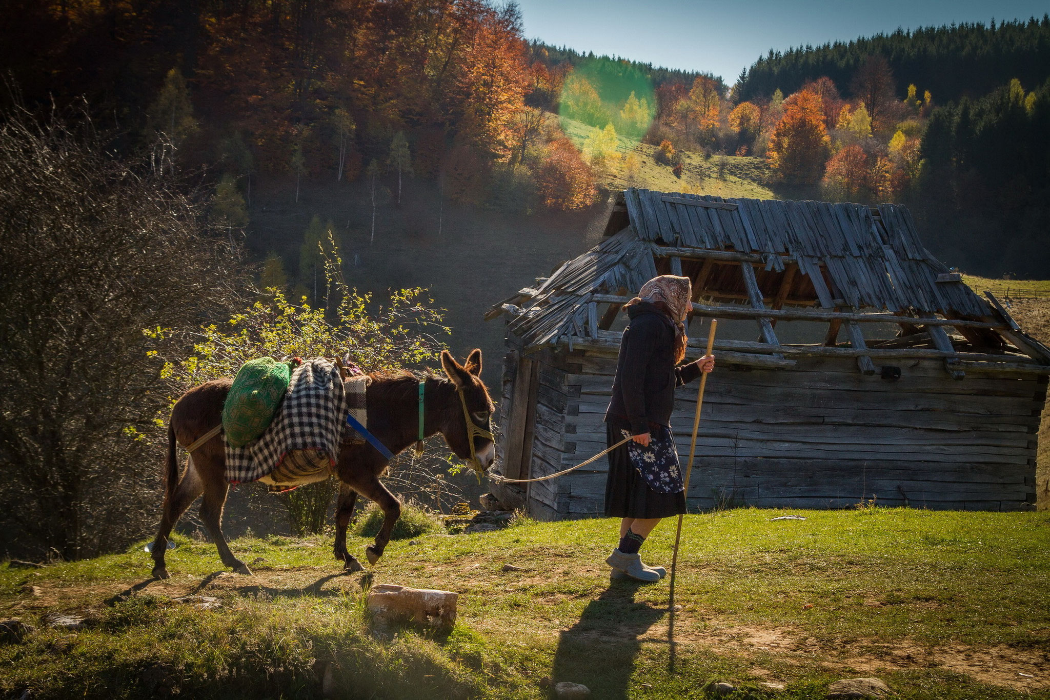 Creștin Călin (RO)