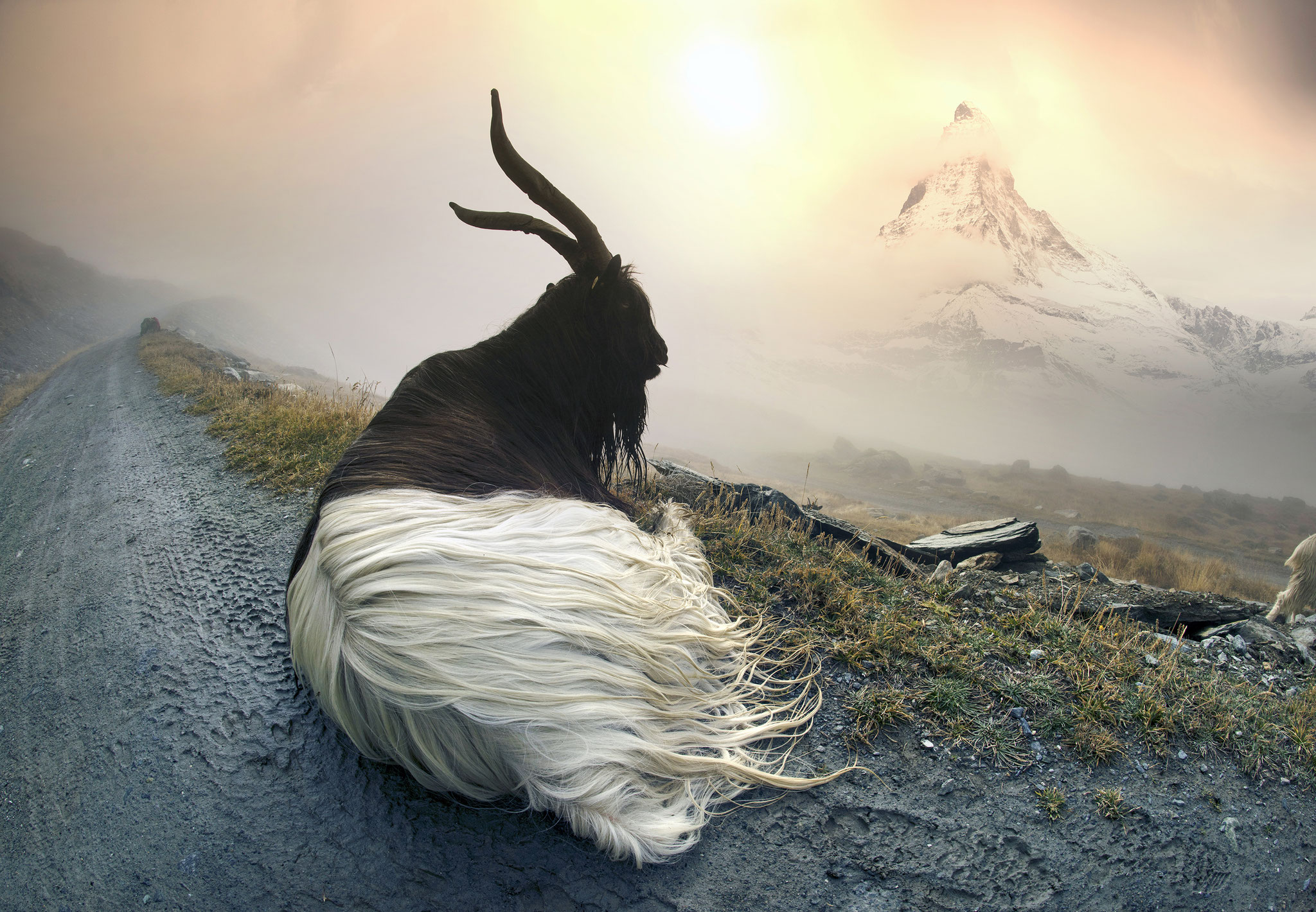 Roman Mykhailiuk (Ukraine) - Matterhorn