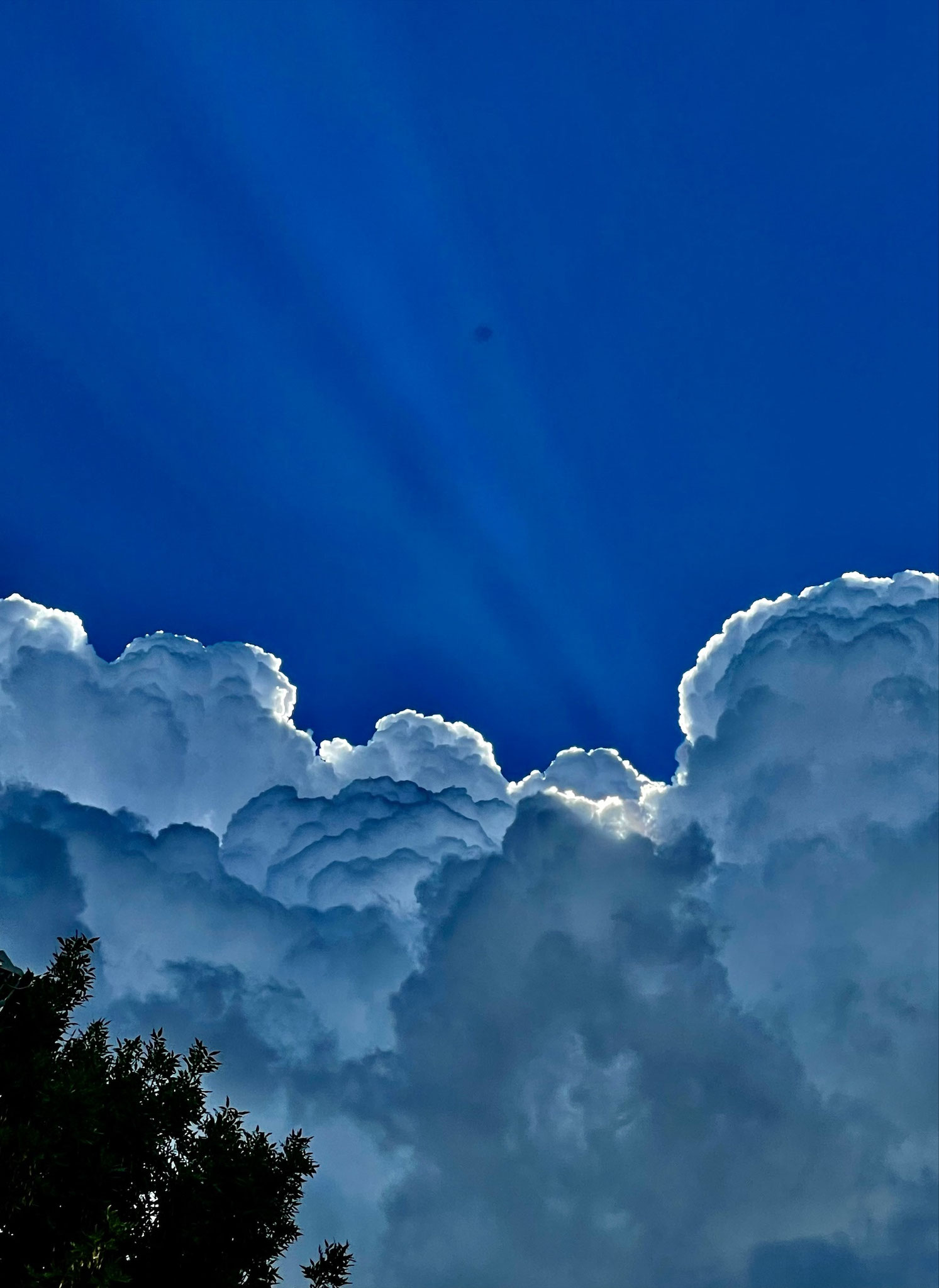Foto: Andrei Matei Știrbu