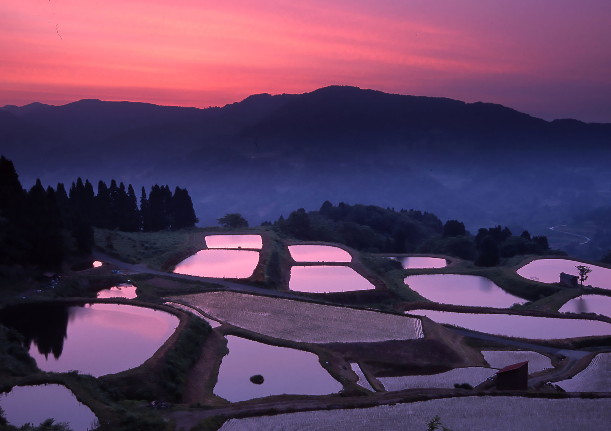 Noriaki Nishigaki (JP) - Terase de orez în zori- Rice terraces at dawn - 夜明けの棚田