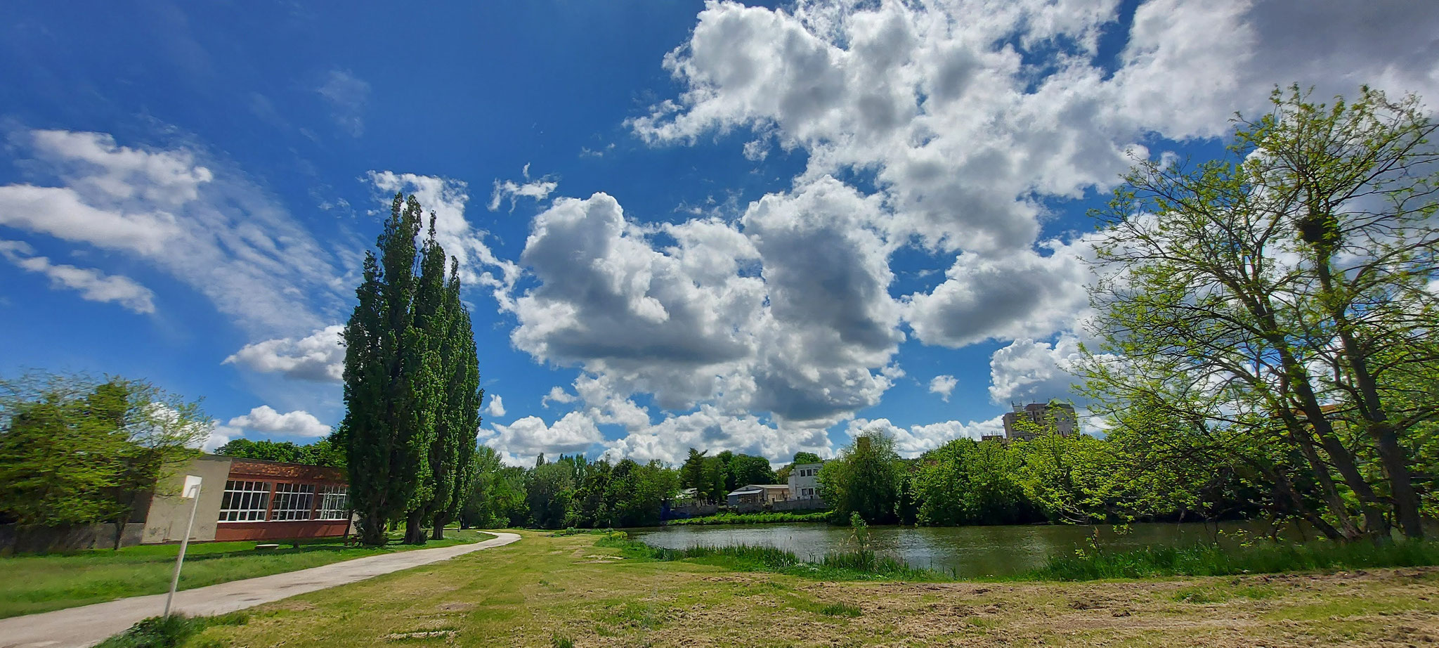 Salgó Gabriella (SK)