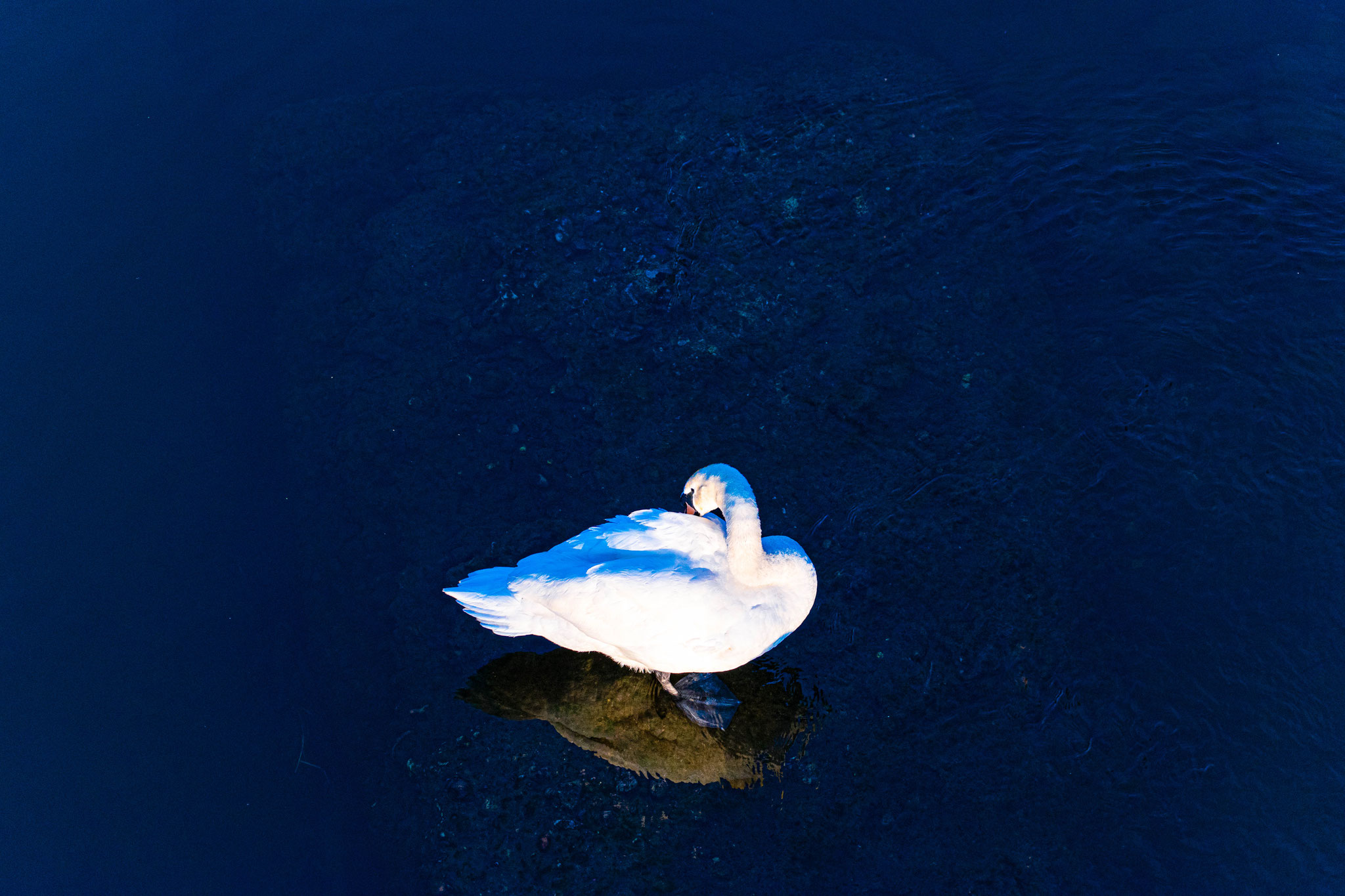 Foto: Petrus Tamás