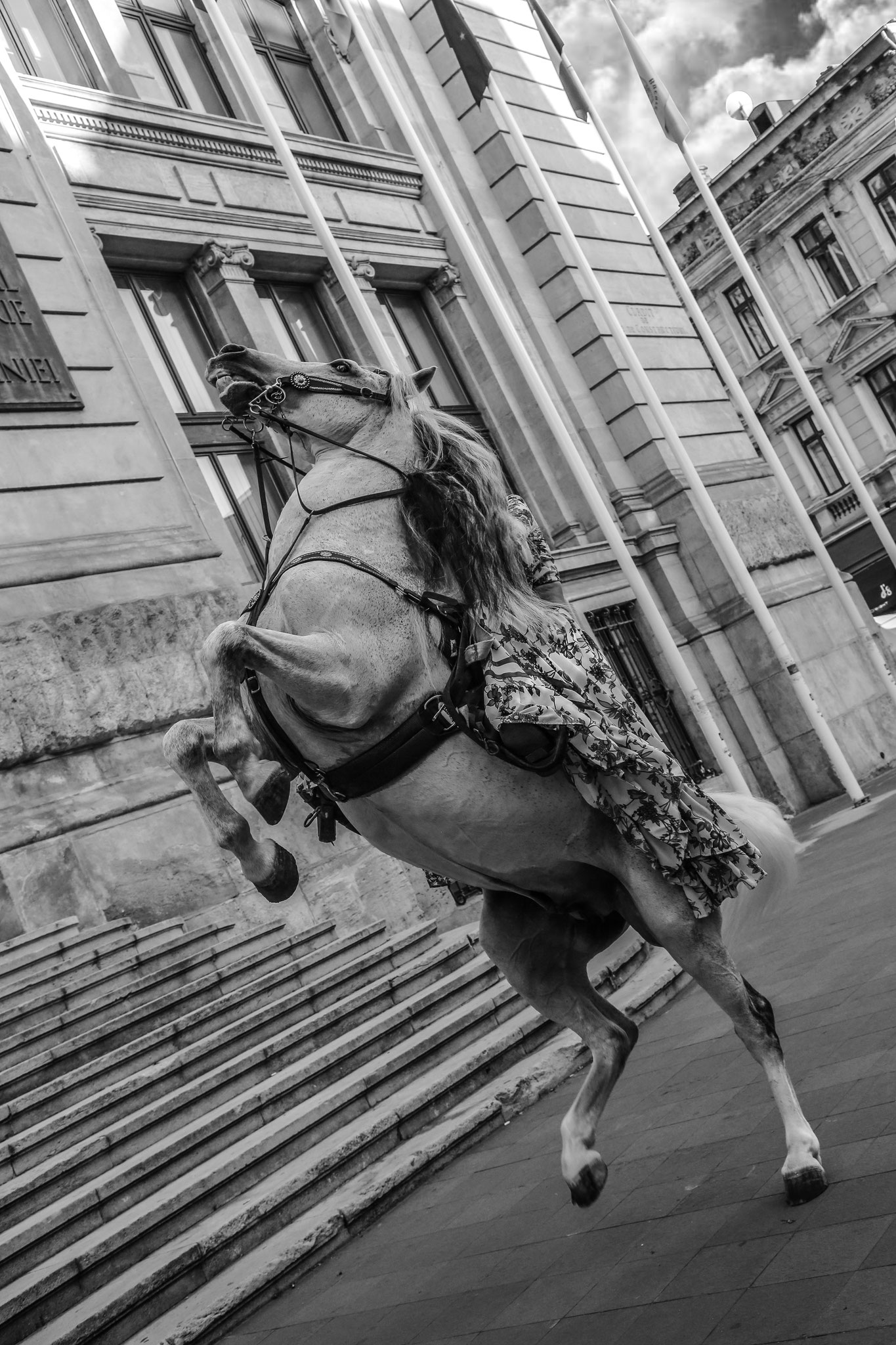 Foto: Draga Denis 