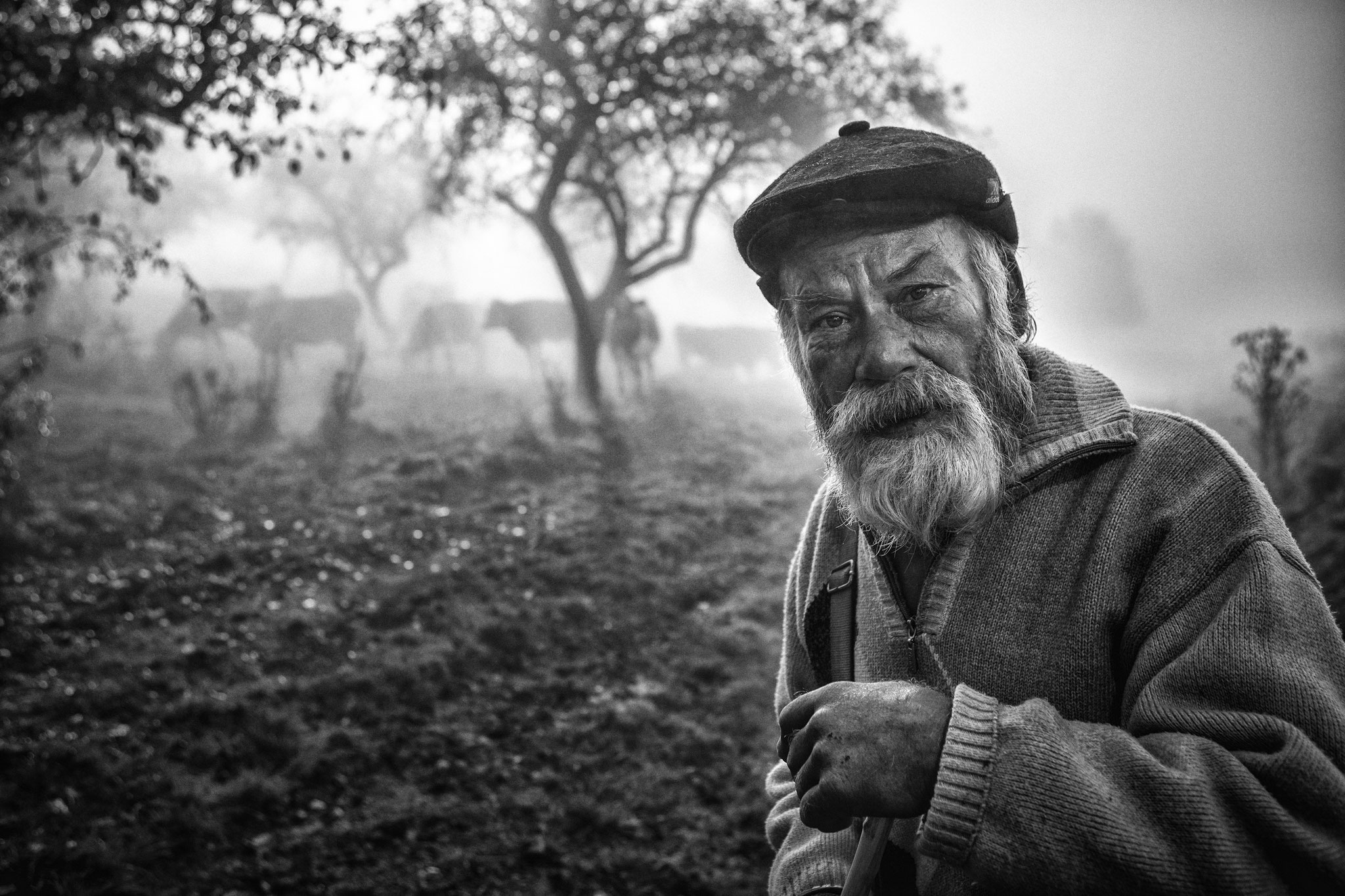 Nagy Botond (Romania) - Ad astra per asperas