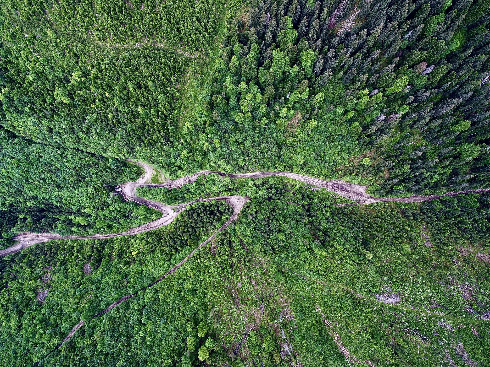 Gabor Radu (RO) - From above