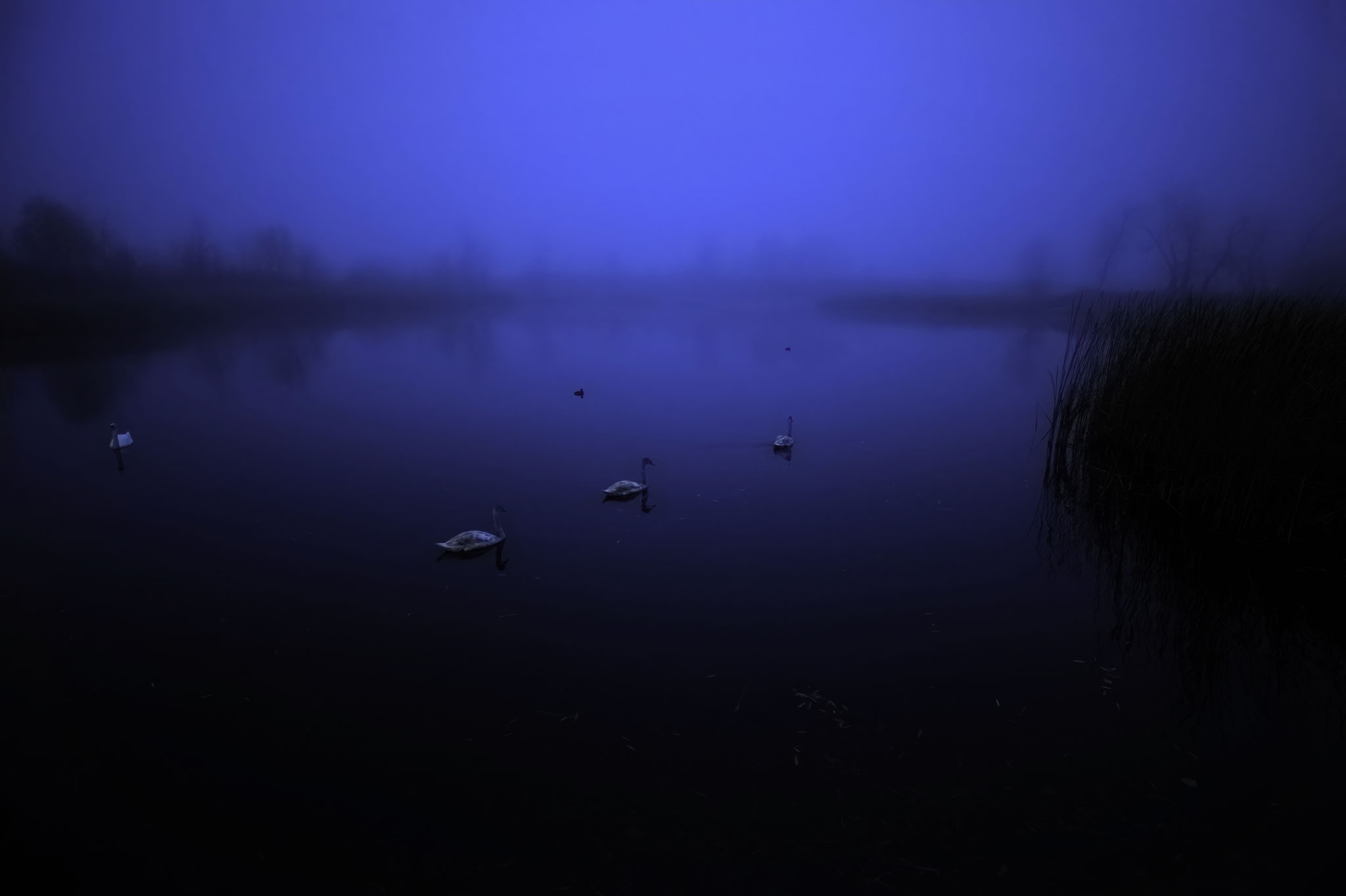 Foto: Filip Ovidiu
