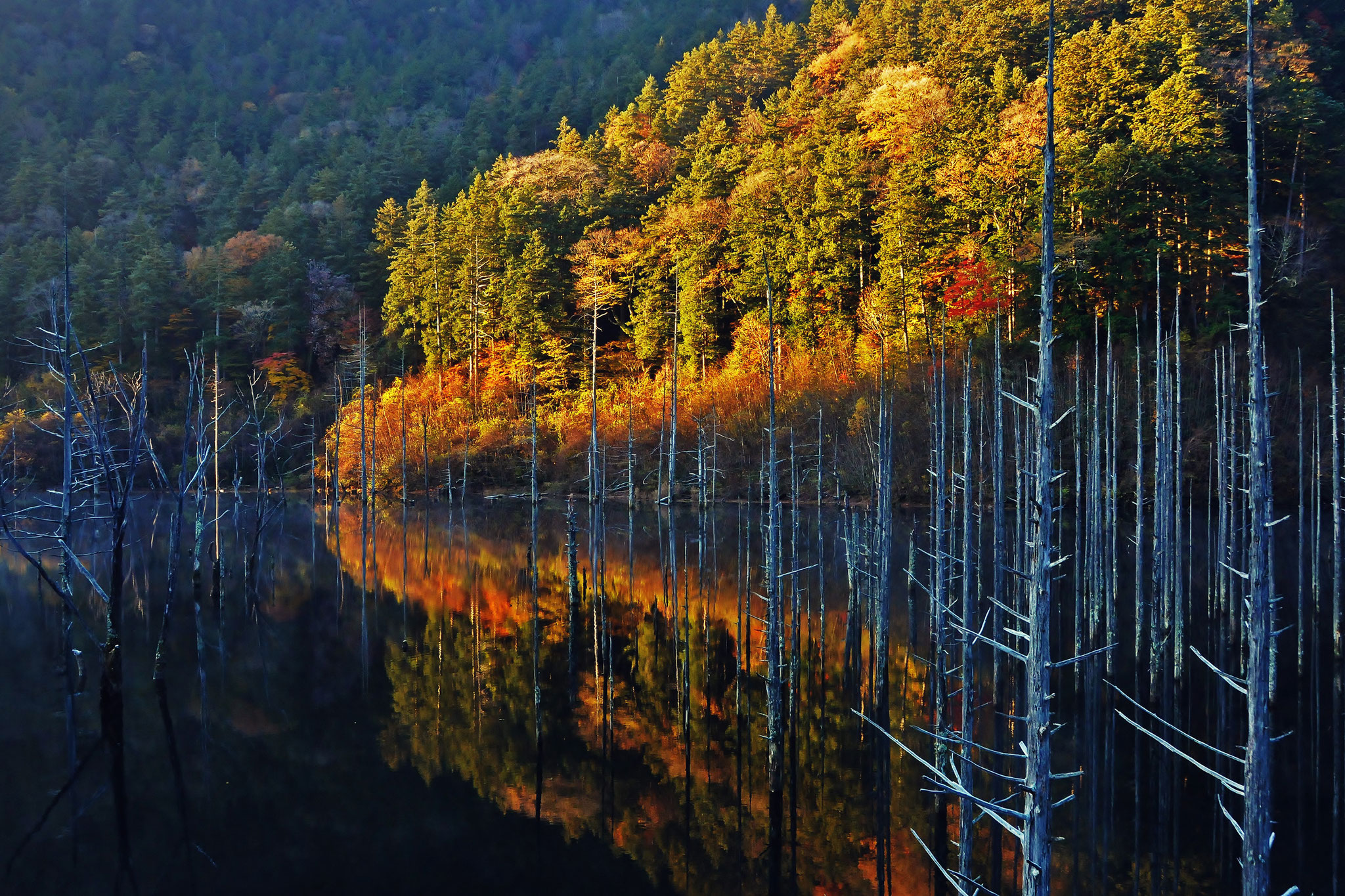 Kawano  Katsushige (japan) - Flowing colours of autumn