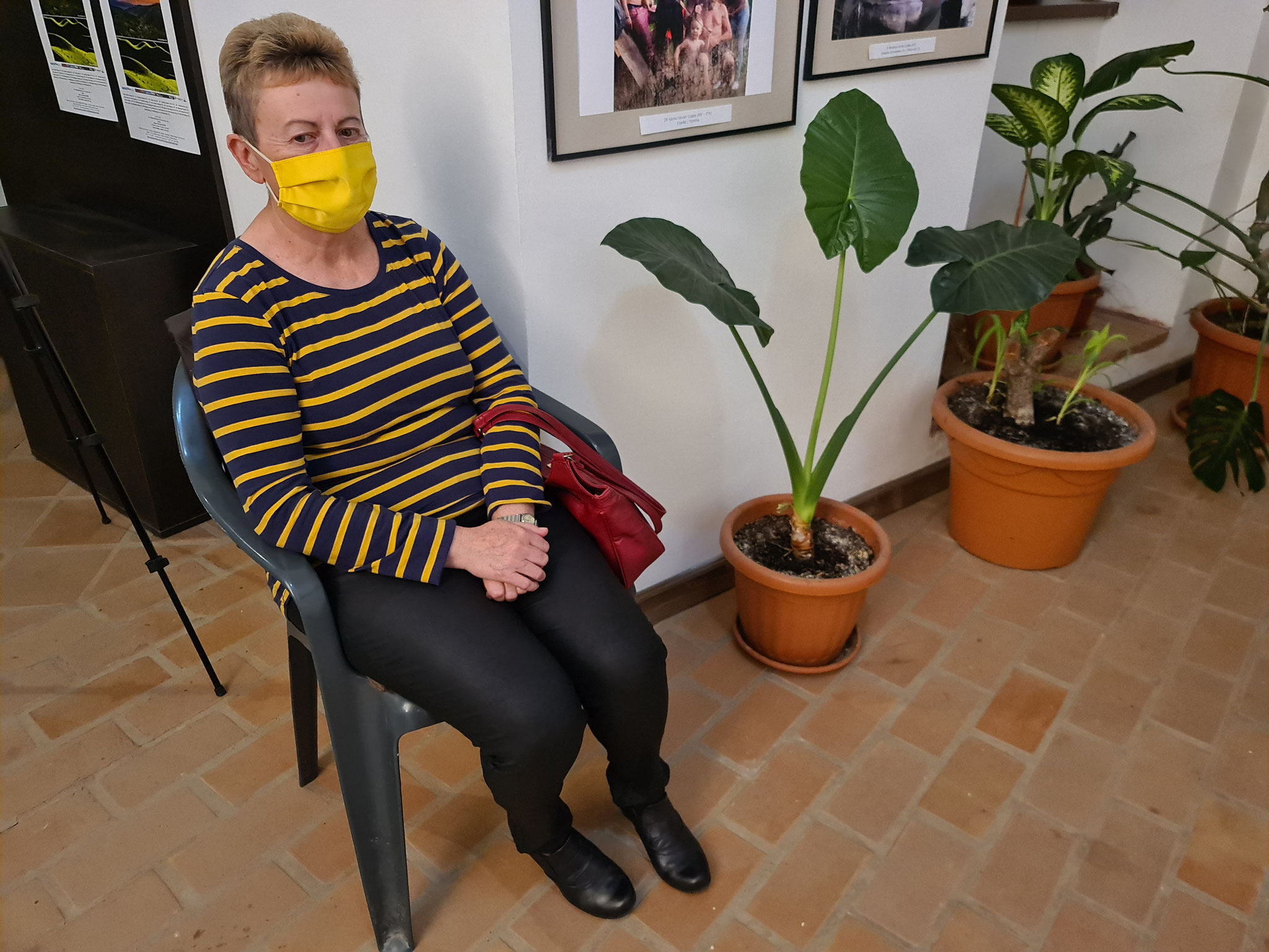 Foto EFA/ Csíki János