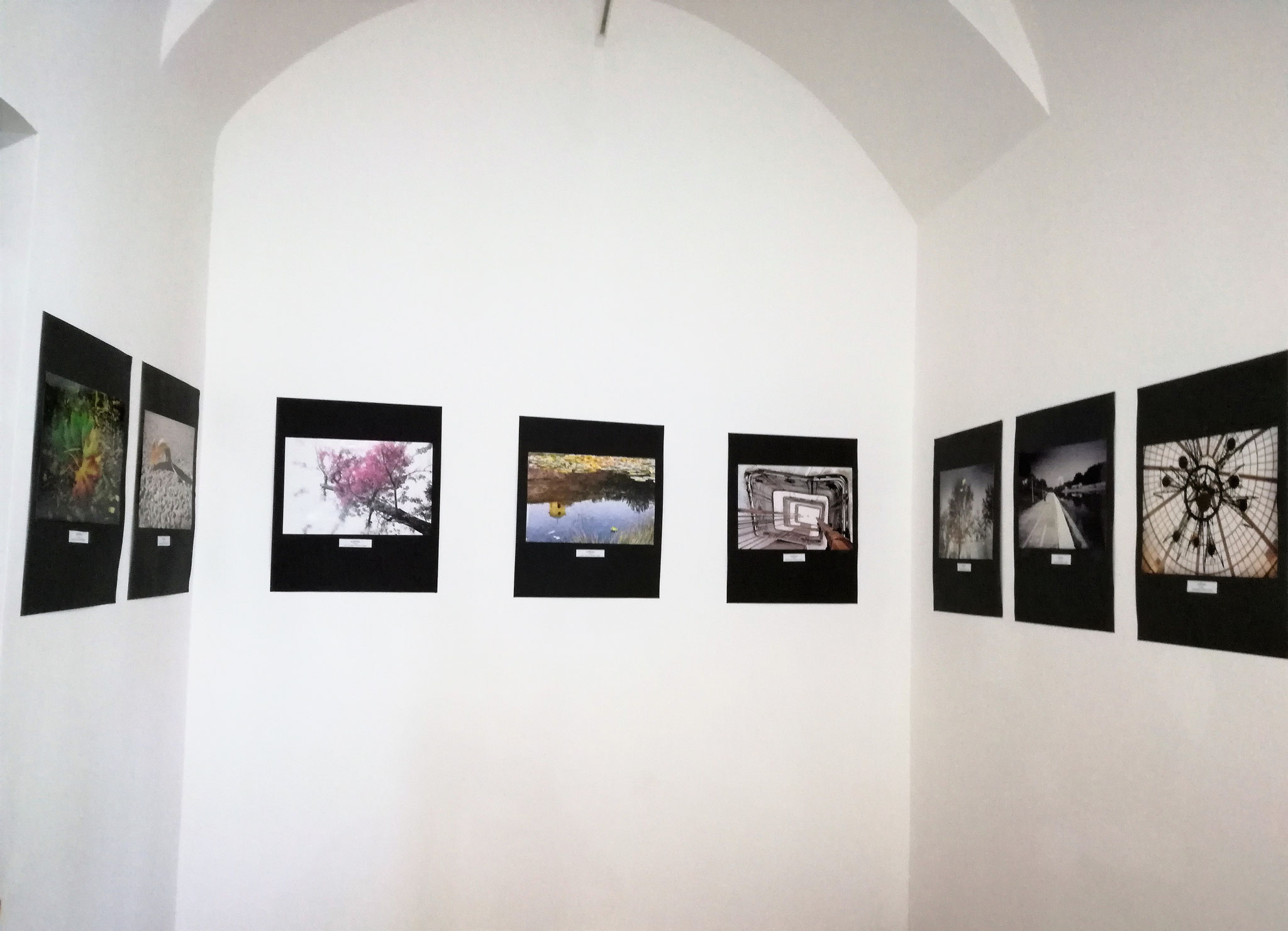 EURO FOTO ART PICNIC 2019