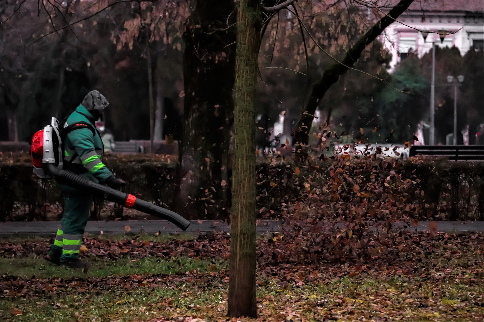 Foto: Szatmári Viktória