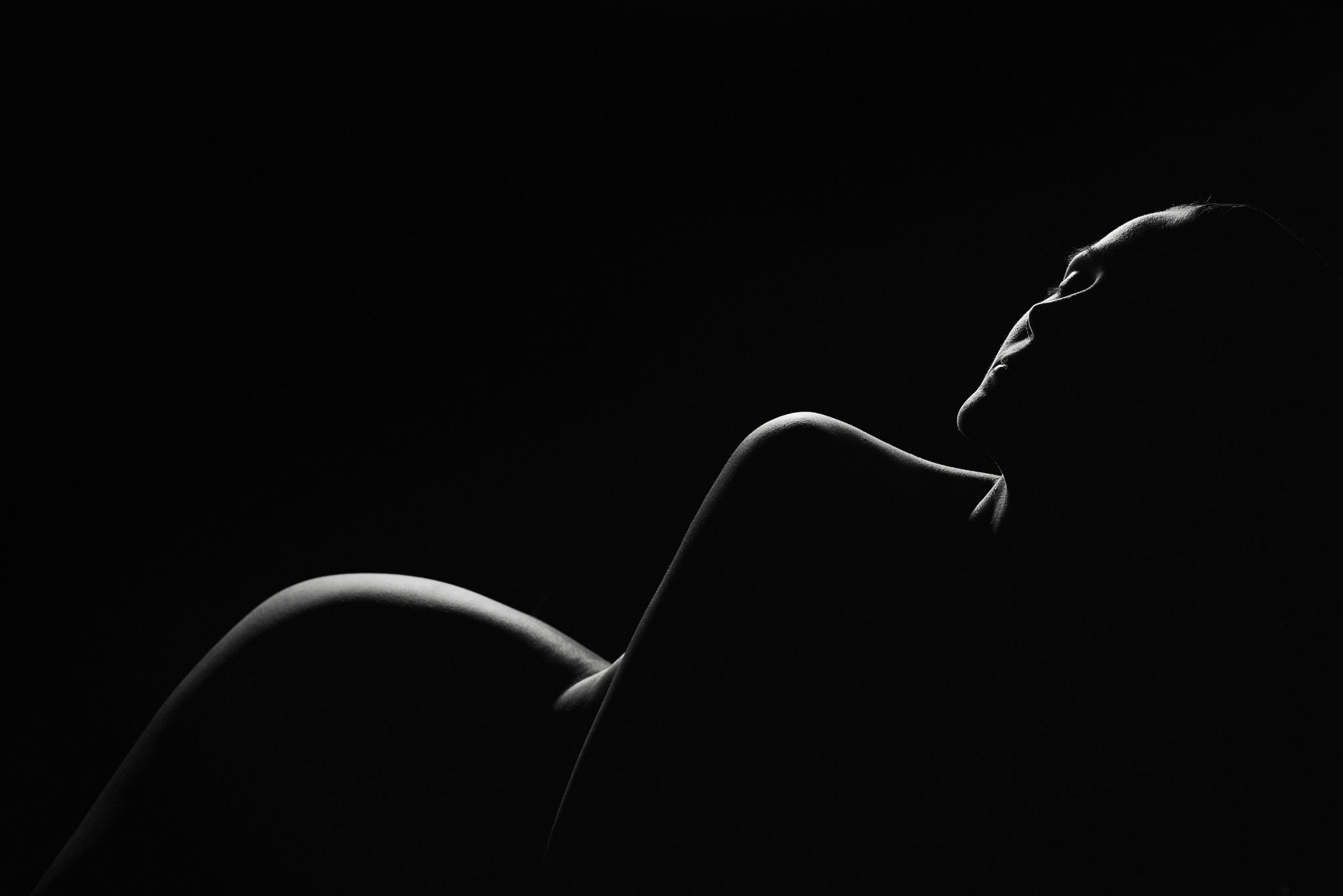 Tassi Miklós (Hungary) -Silhouettes