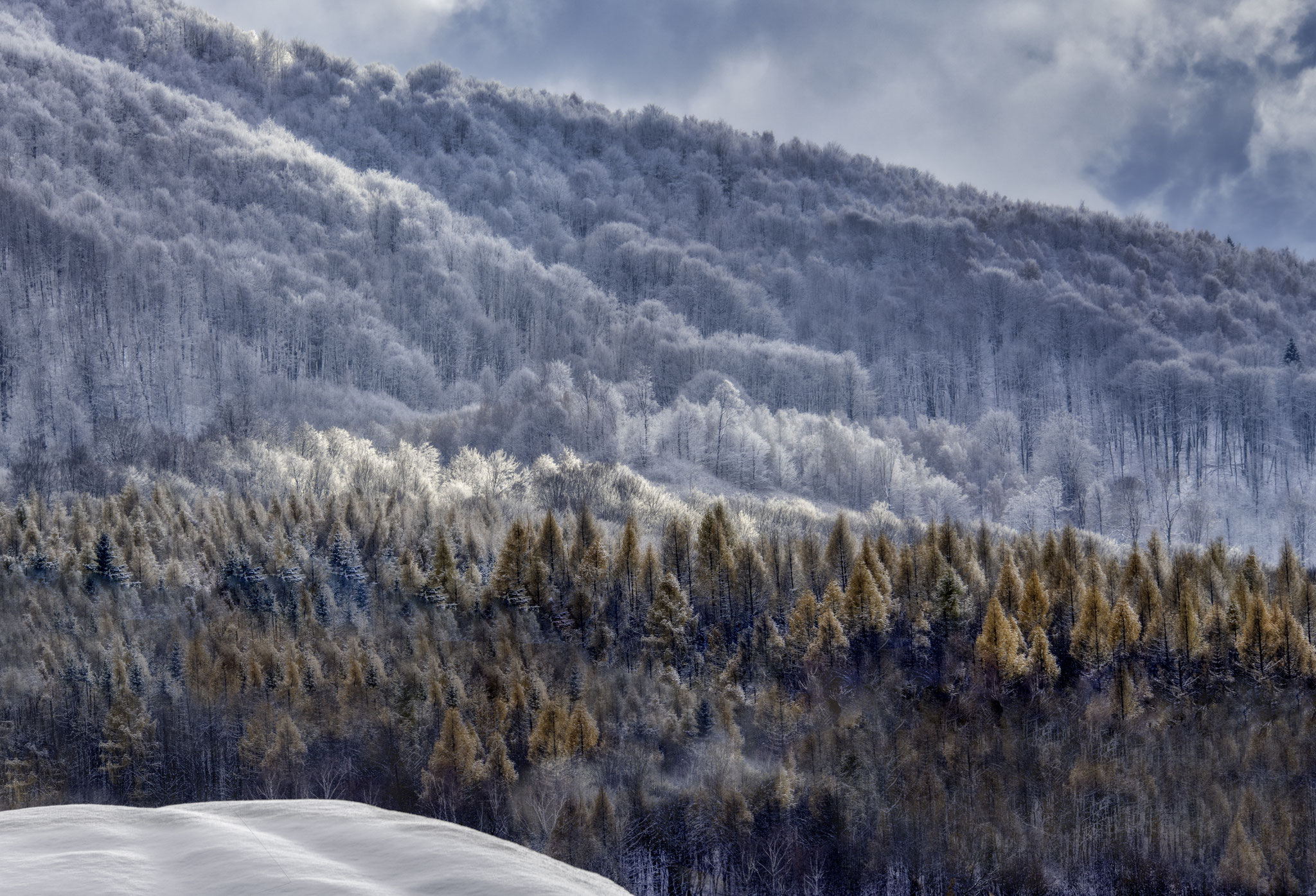 Markus Sorin (RO) - Seasons