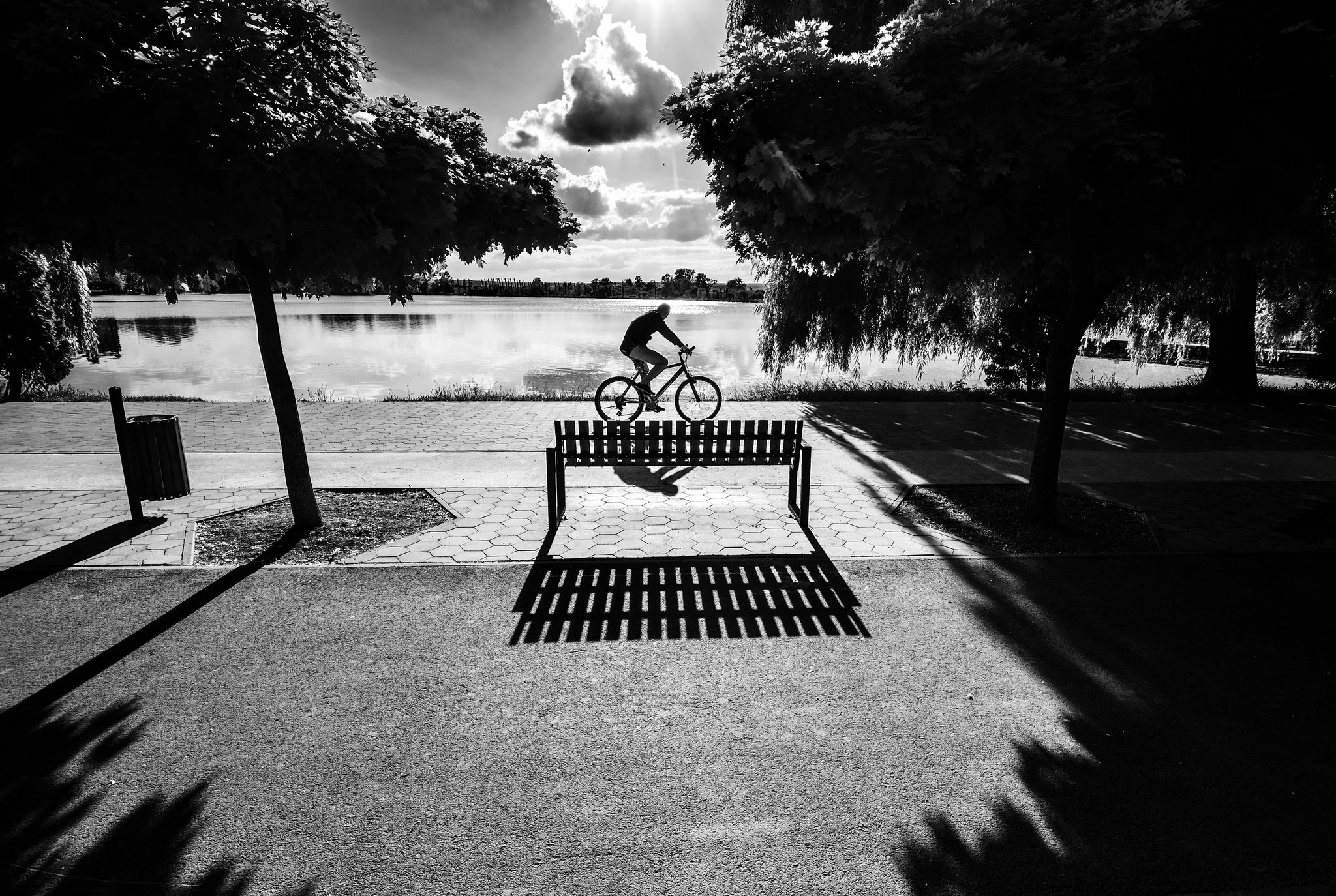 Dmytro Petryna EFAIP (Ukraine) - Without Name