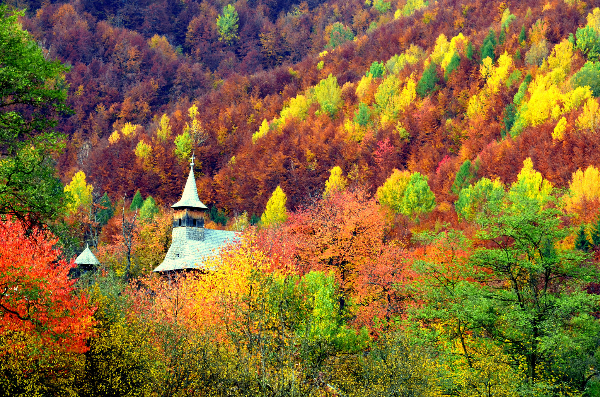 Ilie Tudorel (RO) -Pastel autumnal