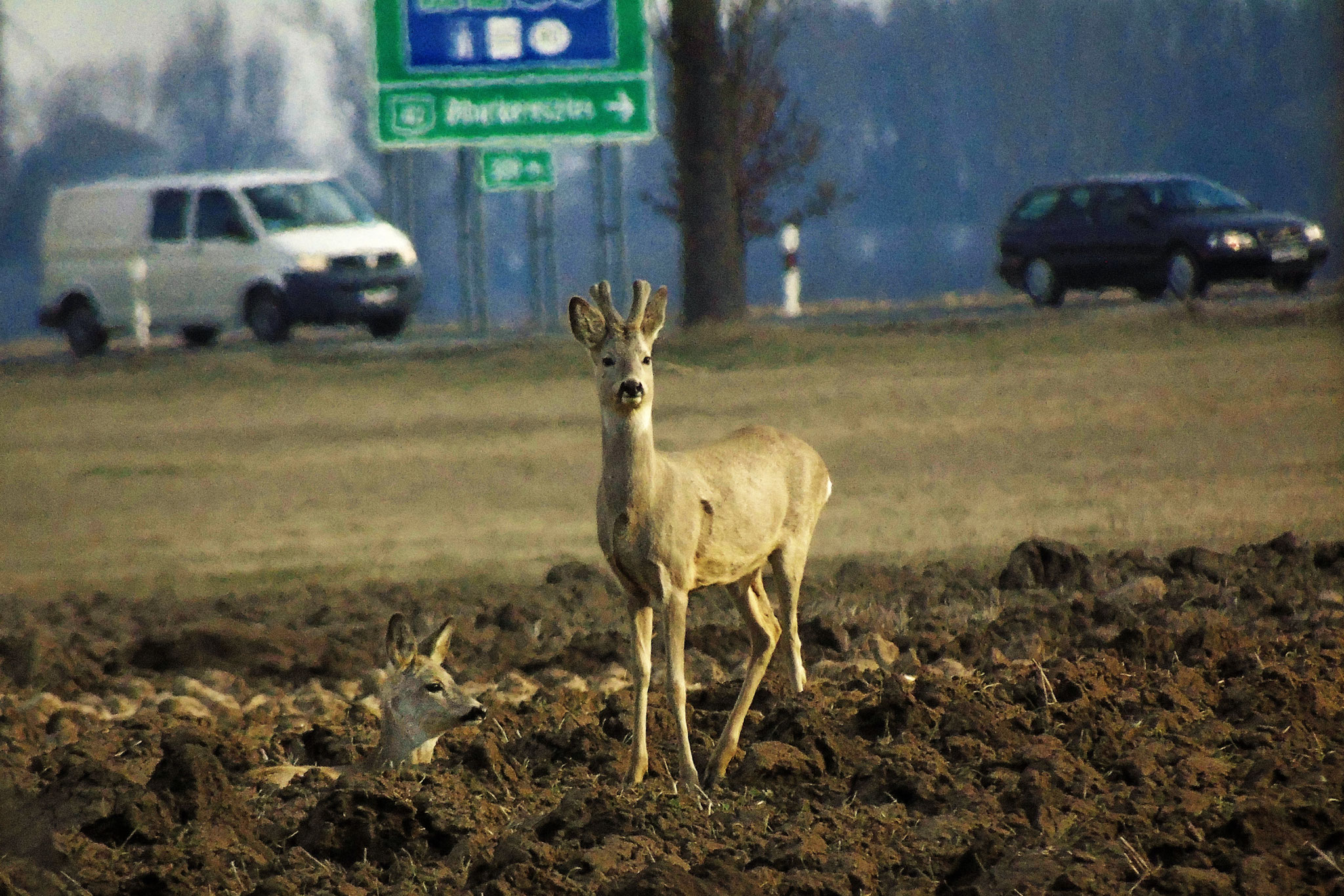 Photo by: Kocsis Csaba (HU) - Berettyóújfalu - ”Várad” (RO)