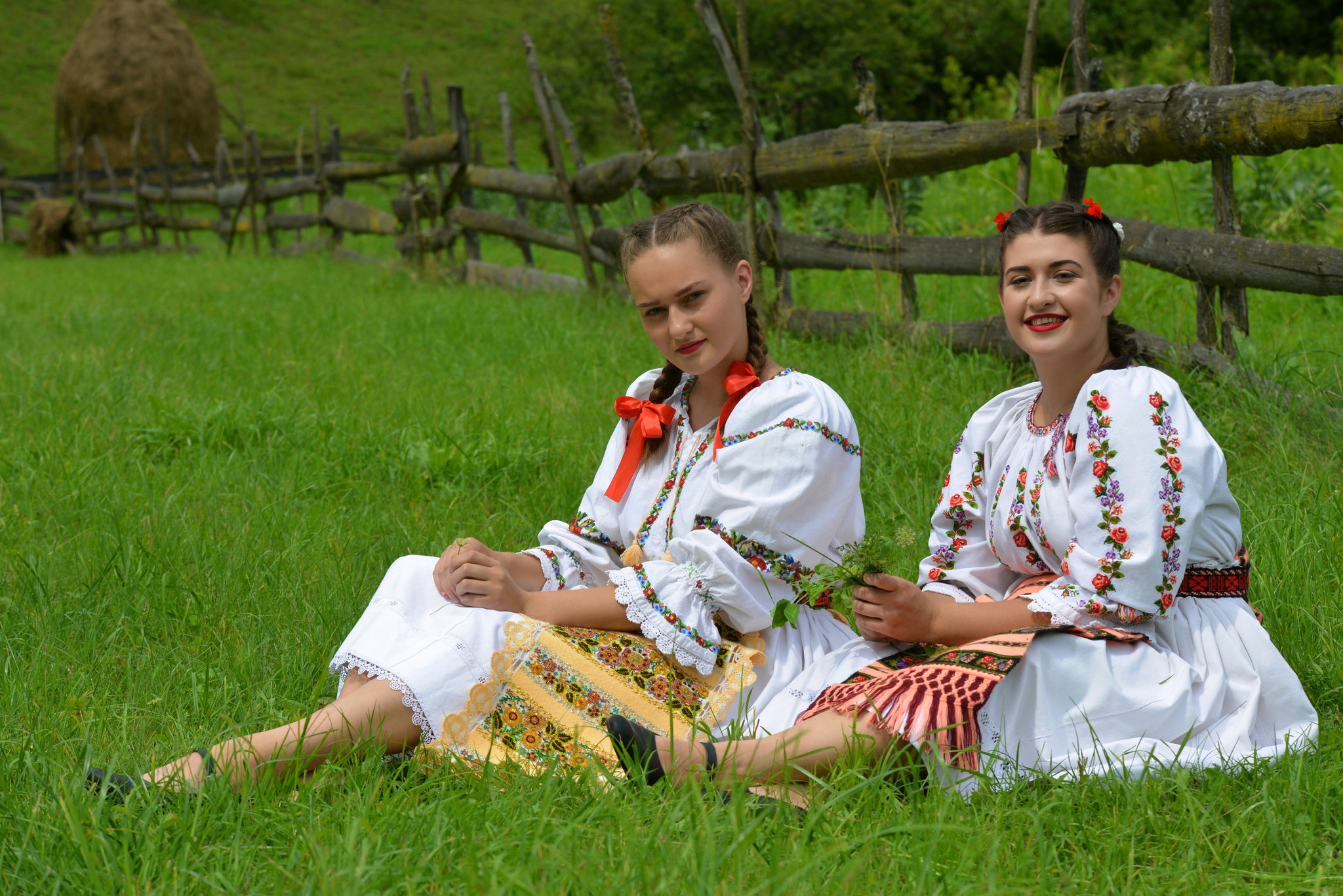 Gheorghe Petrila EFIAP - Oradea (RO)