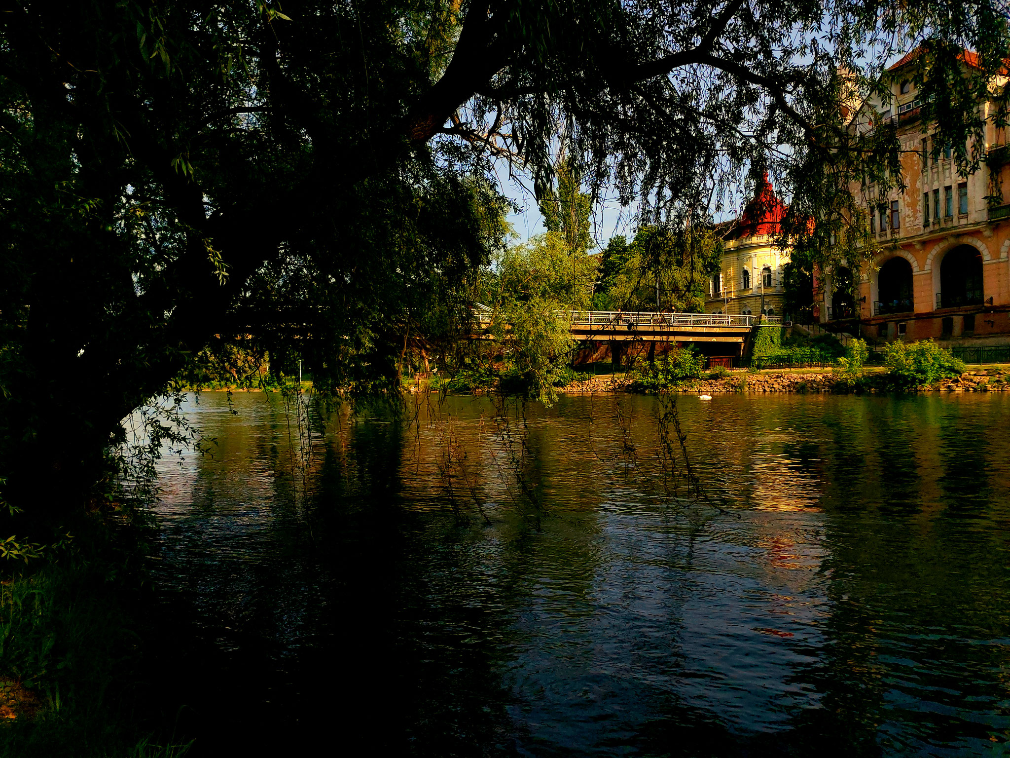 Foto: Németi Károly