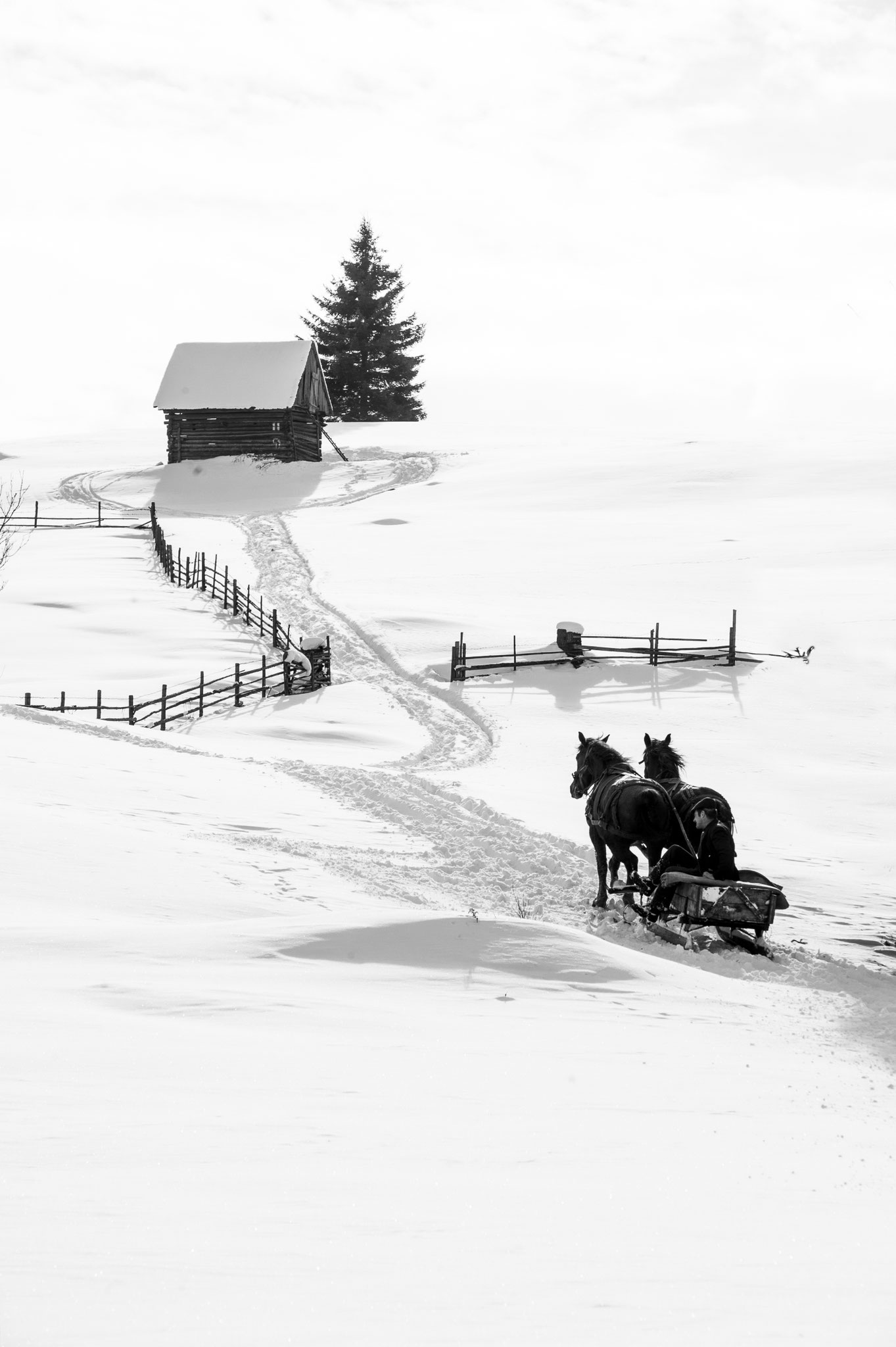 Tordai Ede EFIAPs (Romania) - Winter in Gyimes