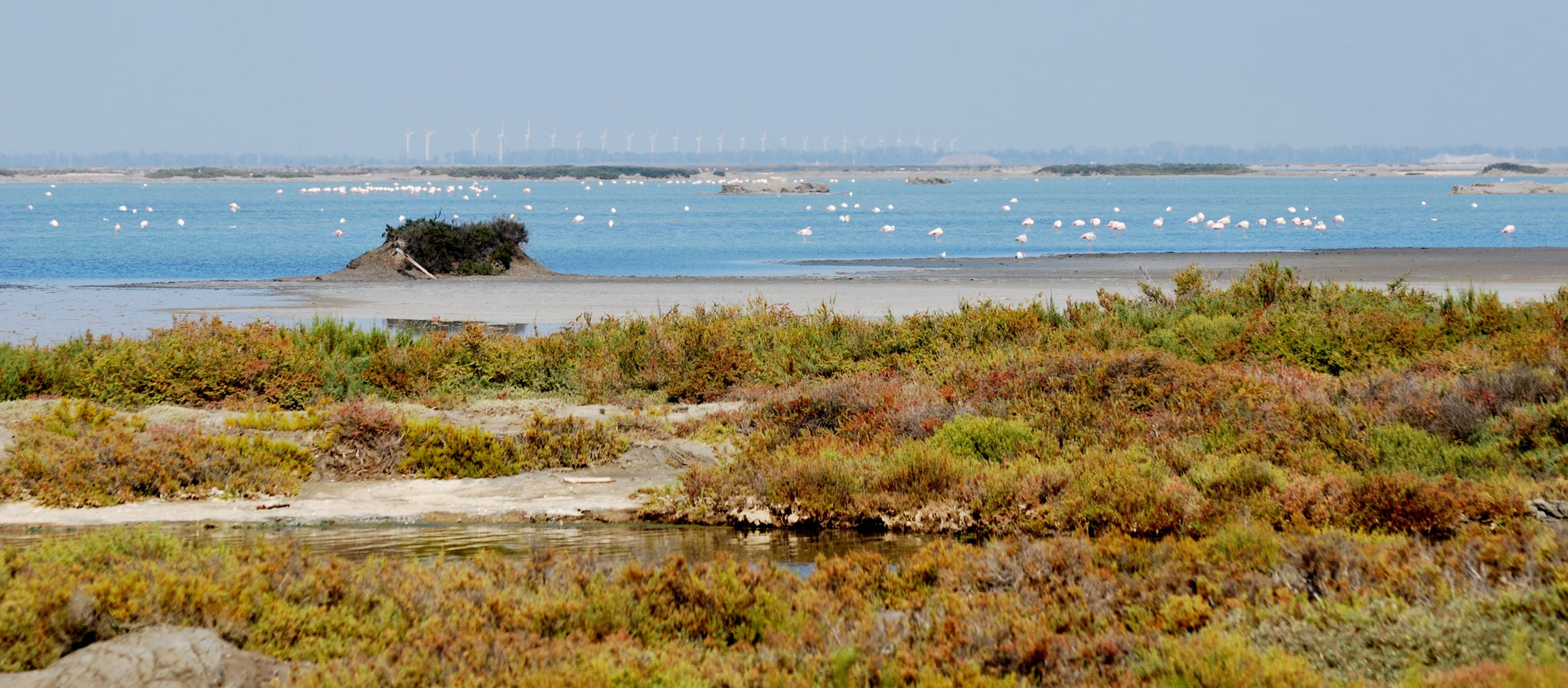Paysage salin de Giraud 