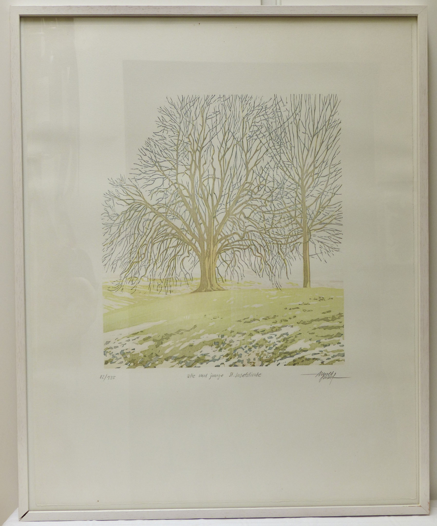 Lithografie 82/135 Arnold Imhof, signiert  |  "alte und junge St. Josefslinde"  |  85 x 52,5 cm  |  Holzrahmen weiss  |  CHF 250.00