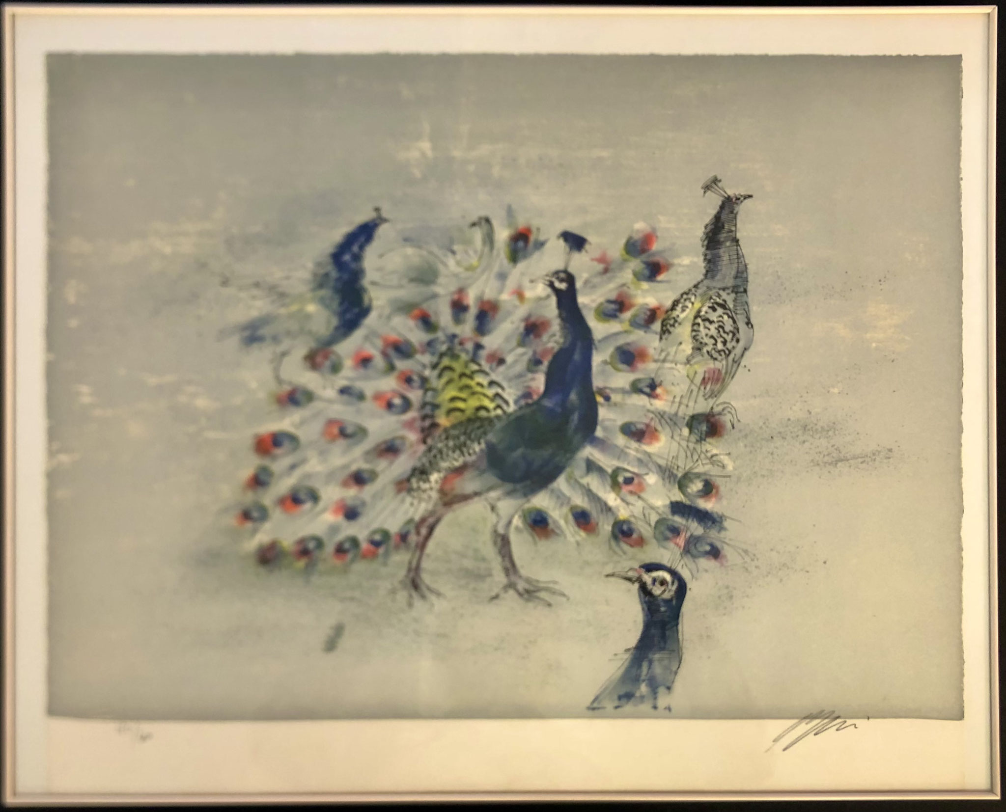 Nr. 15 | Hans Erni "Pfauen" | Lithografie 40/60 gerahmt | 60x48 cm | CHF 850.00 (Privatbesitz)