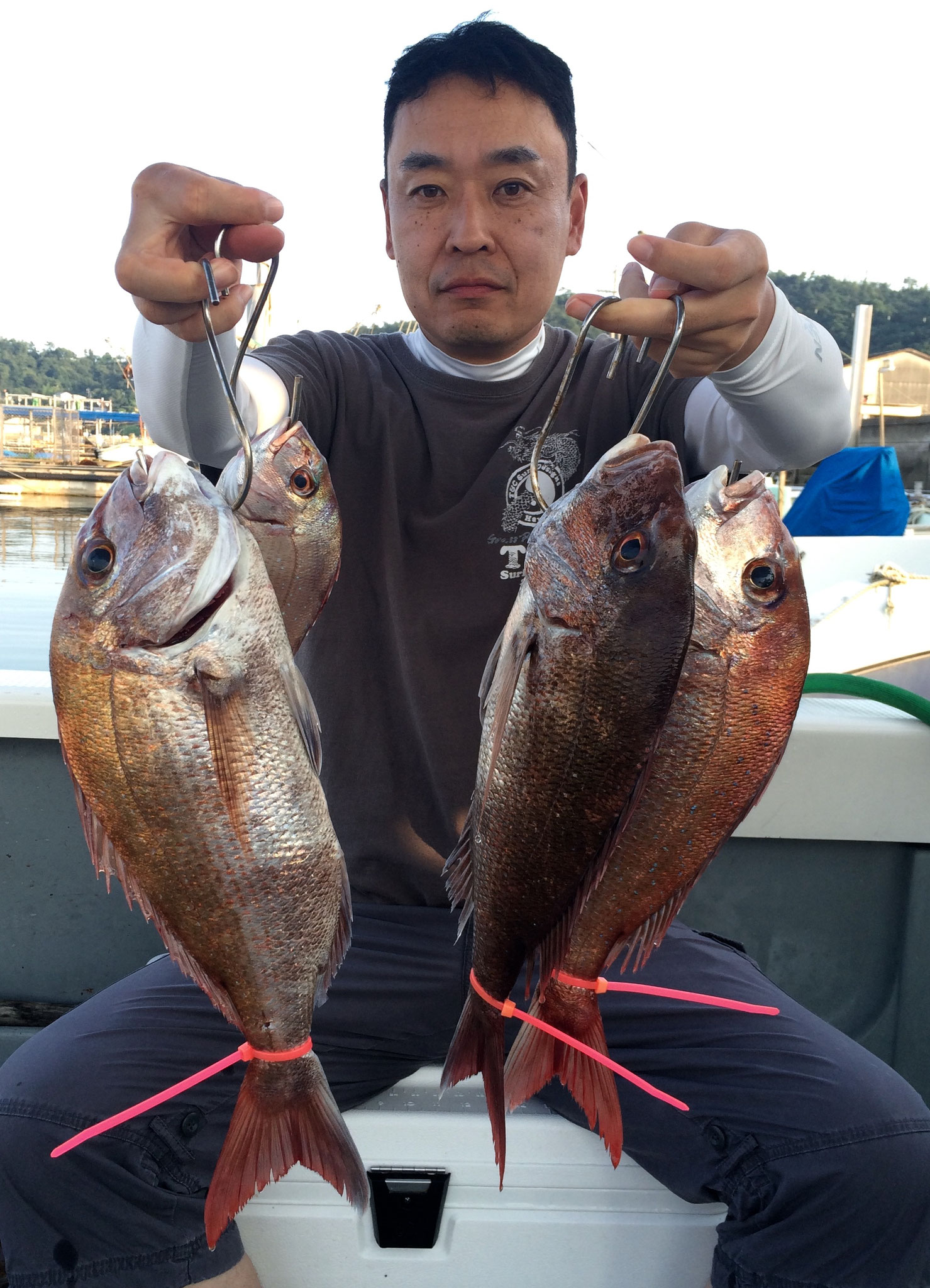 良型まじりの4Fish！