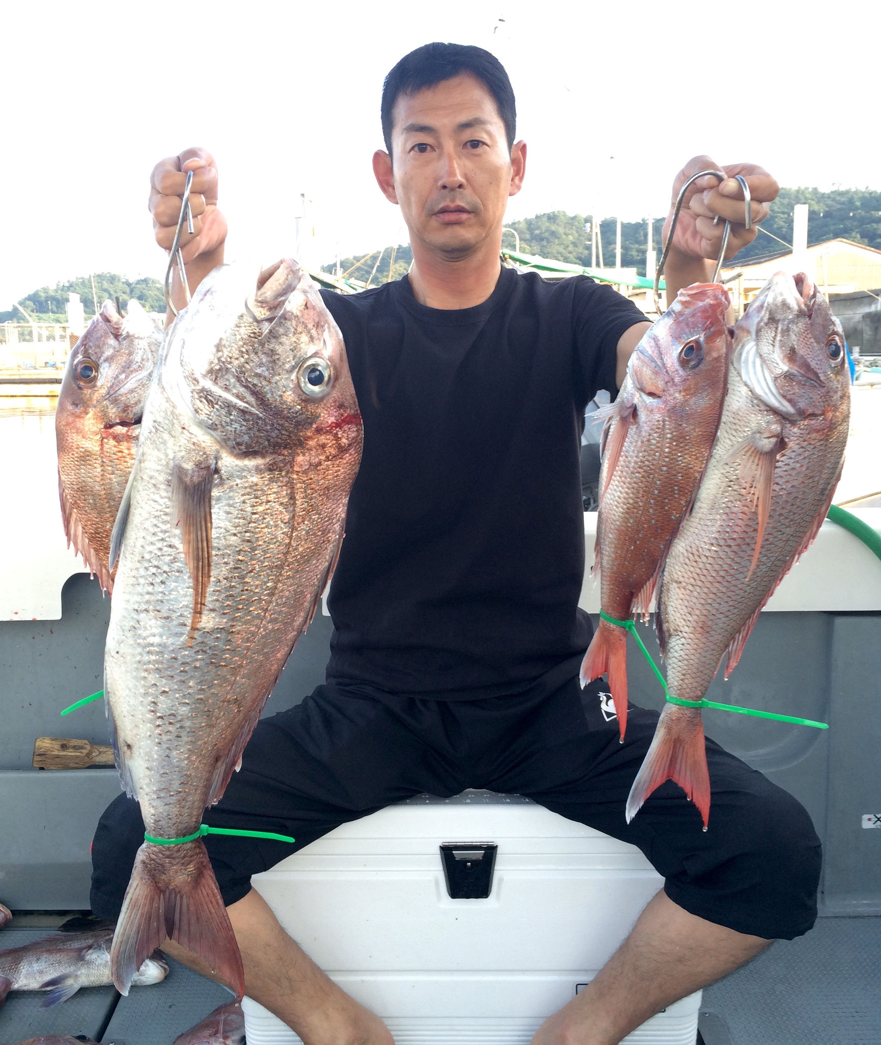 66.5頭に4Fish！