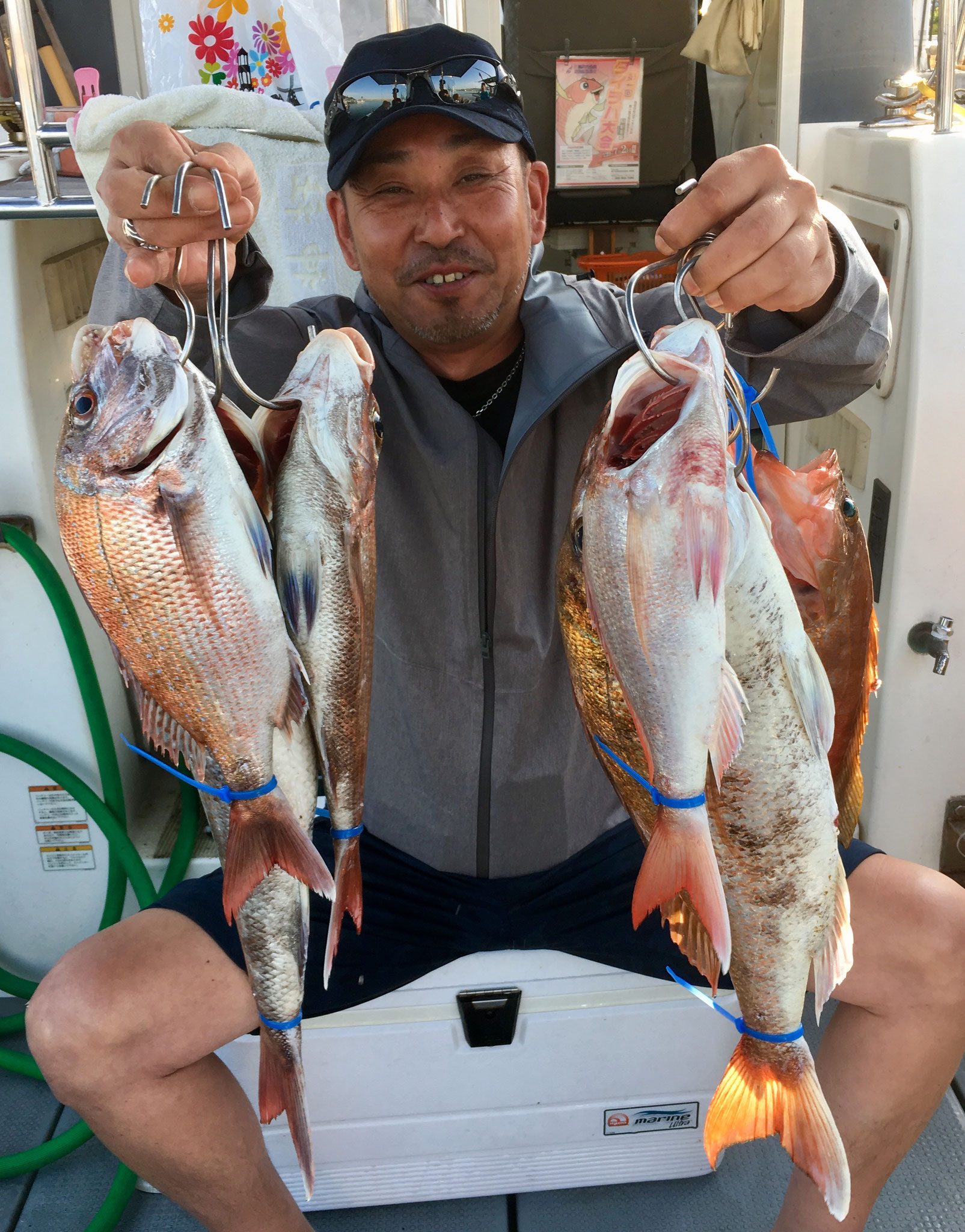 見してくれます！　仕掛けが良かったですね(≧◇≦)　6枚！