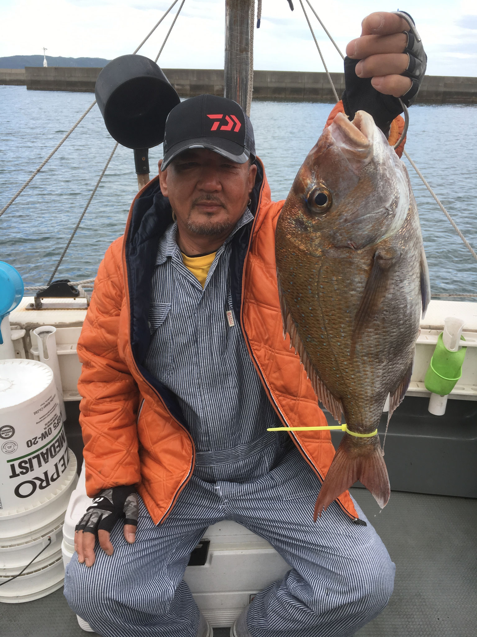 二日連続ご乗船で何とかお顔拝見(^^)/