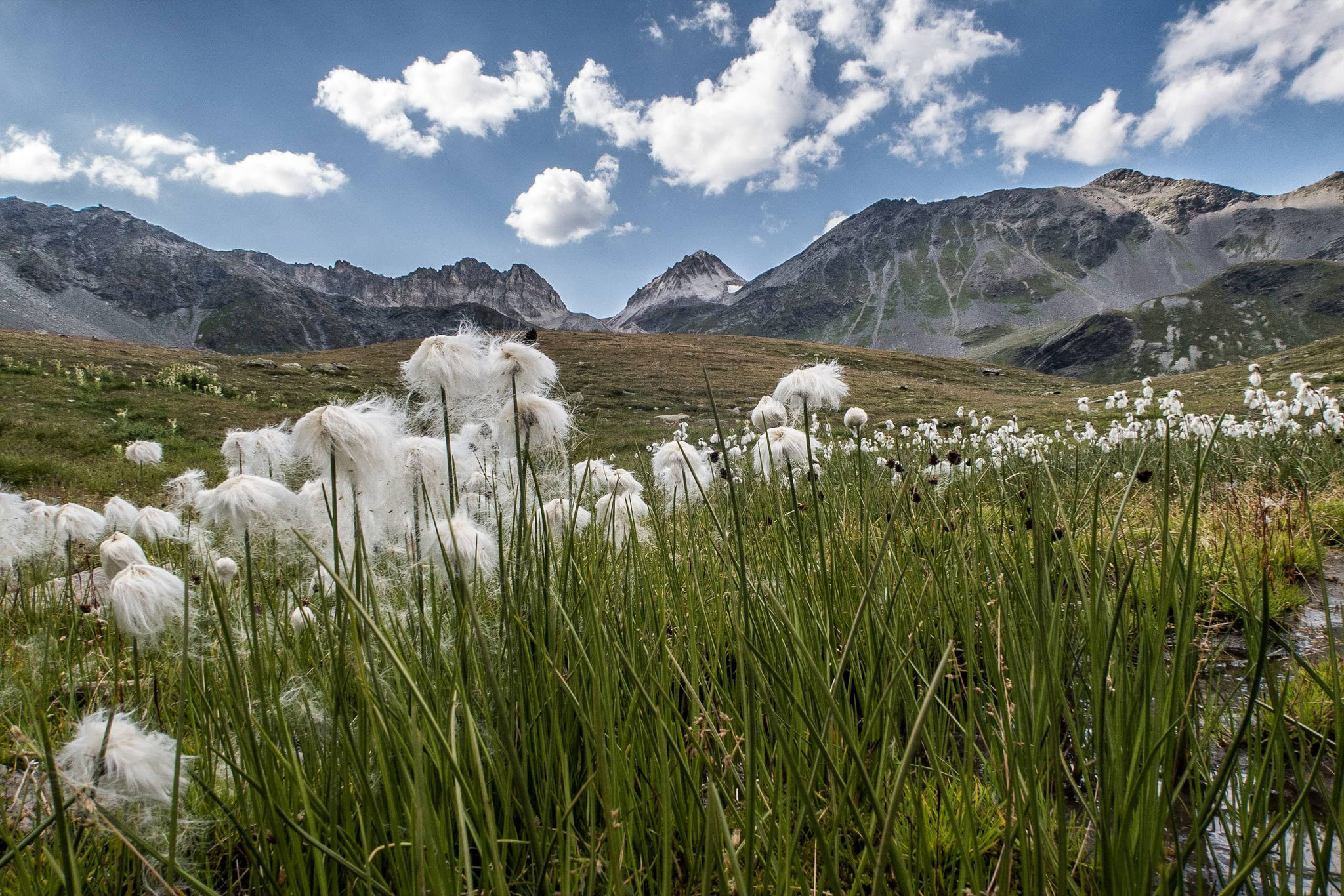 Tour des glaciers de la Vanoise