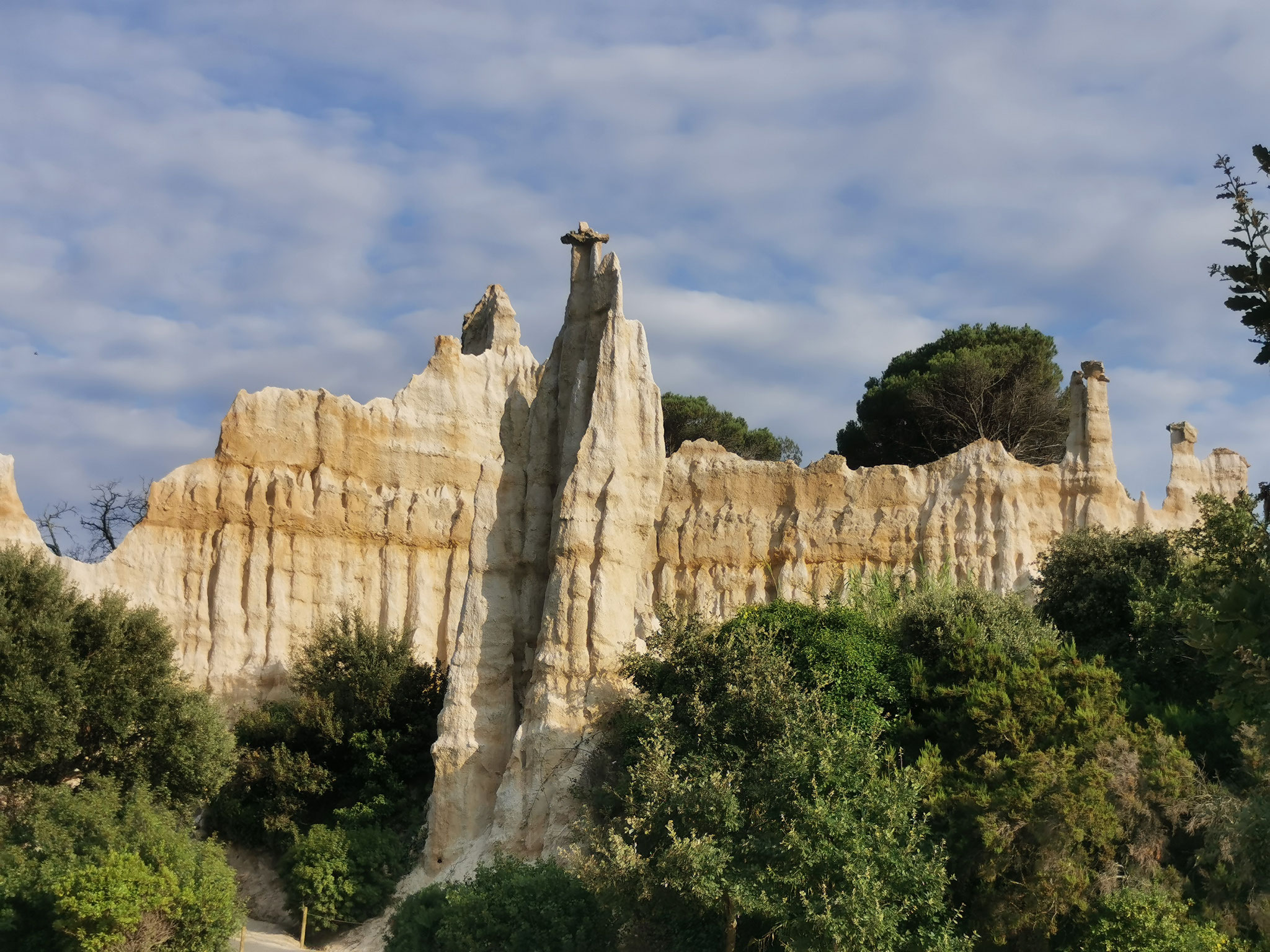 Les orgues de l'Ille sur Têt