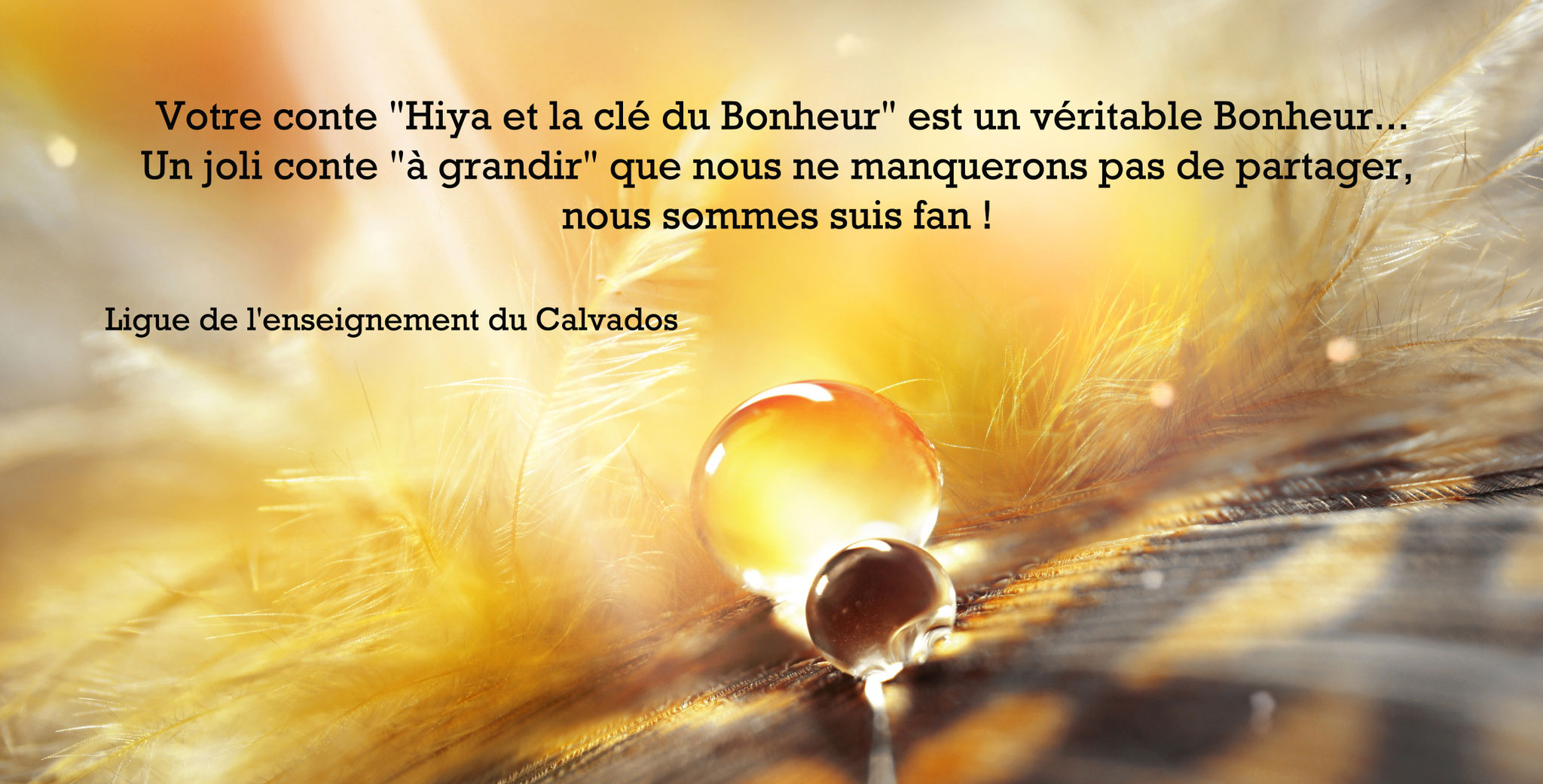conte mayenne
