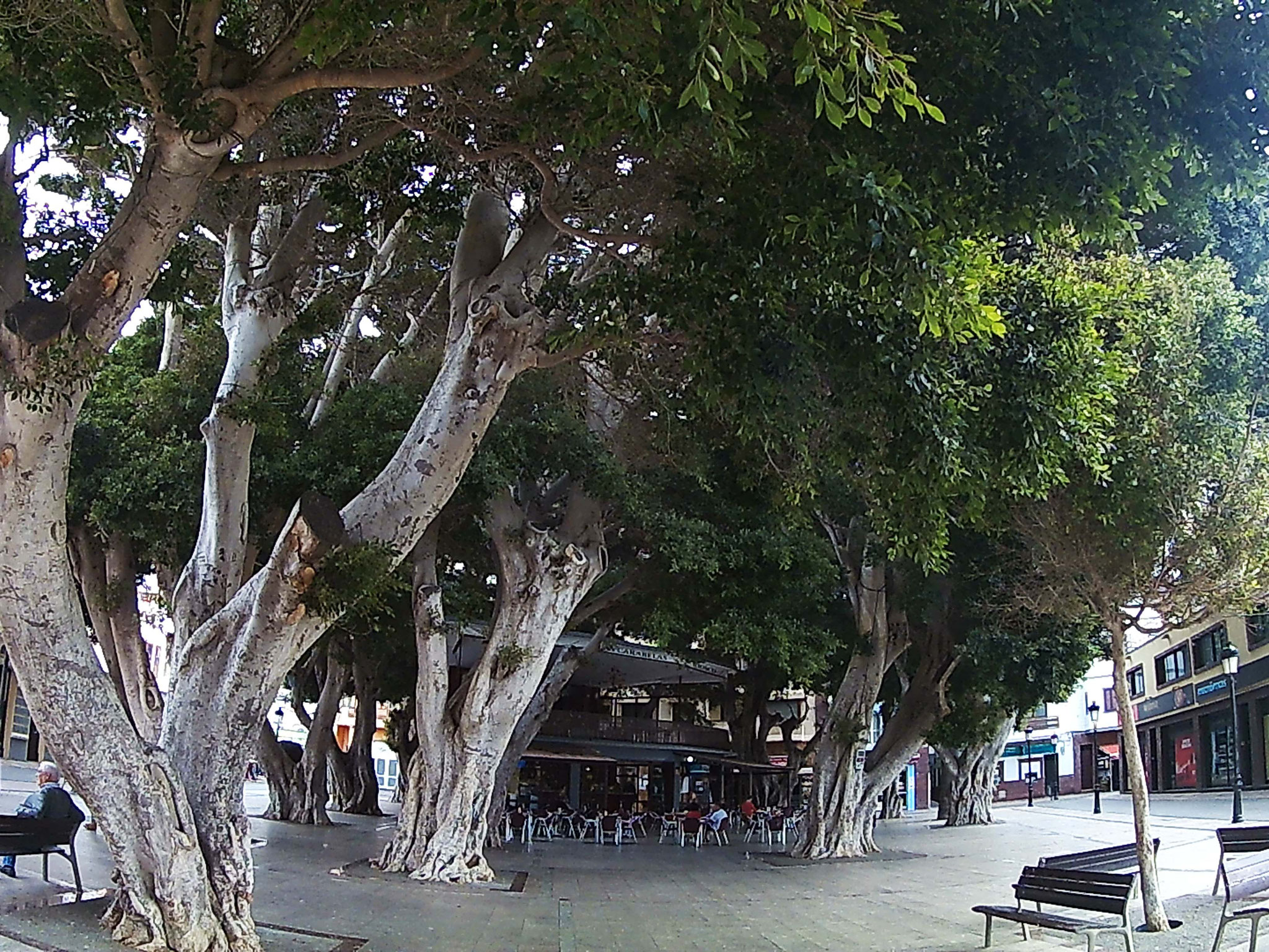 Zentraller Marktplatz von San Sebastian - Genießen Segelurlaub