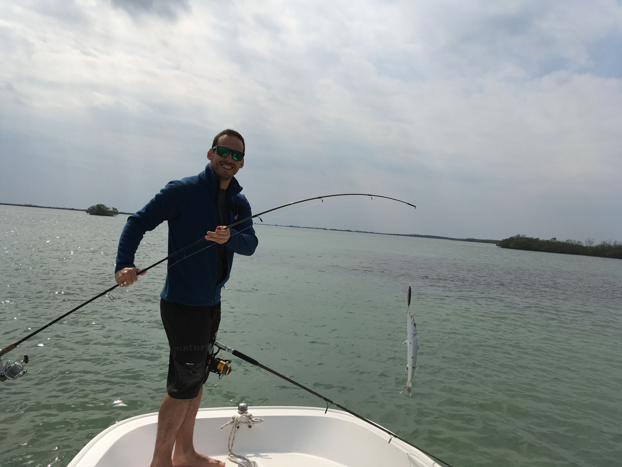 Barracuda sortie mangrove,  Cayo Santa Maria, Cuba