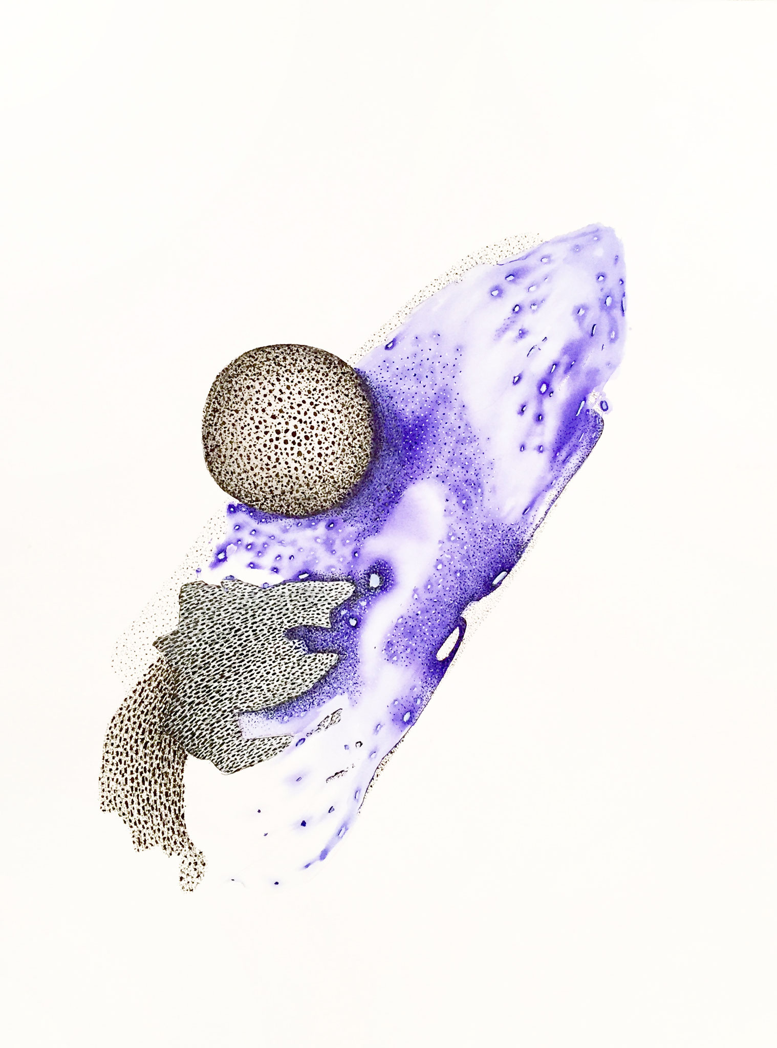 Fragments, 55 x 75 cm