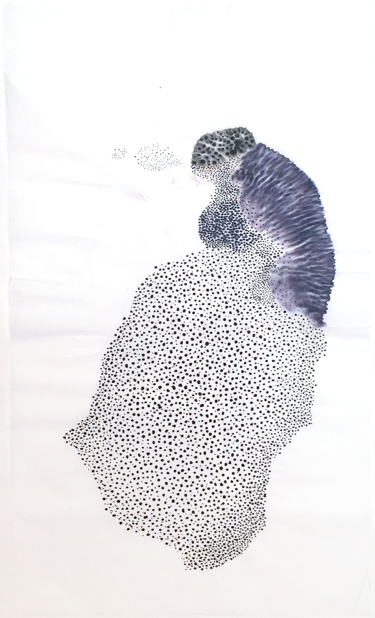 Concretion, 60 x 30 cm