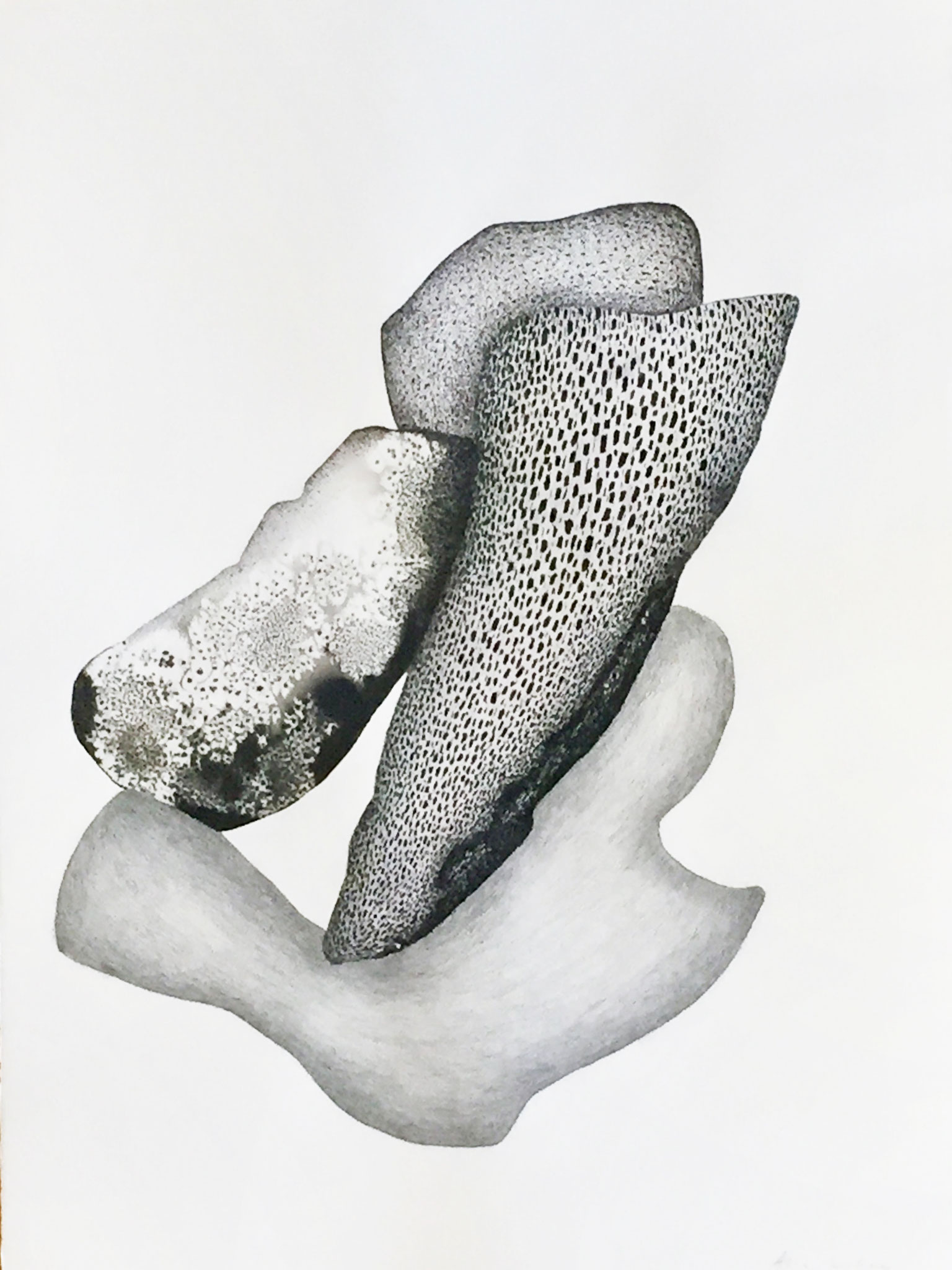 Roches, Ink pencil & salt crystals on Arches paper,  50 x 70cm   courtesy Galerie Armel Soyer