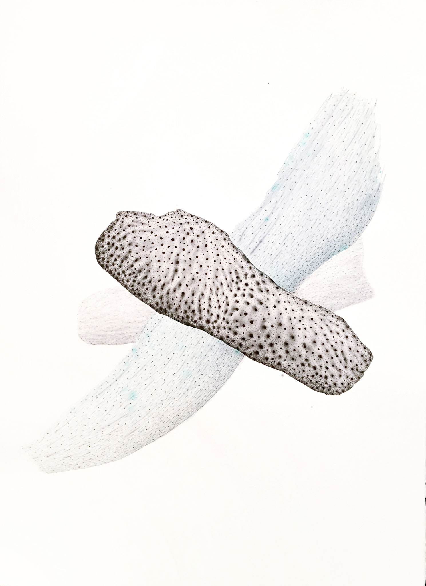 Fragments